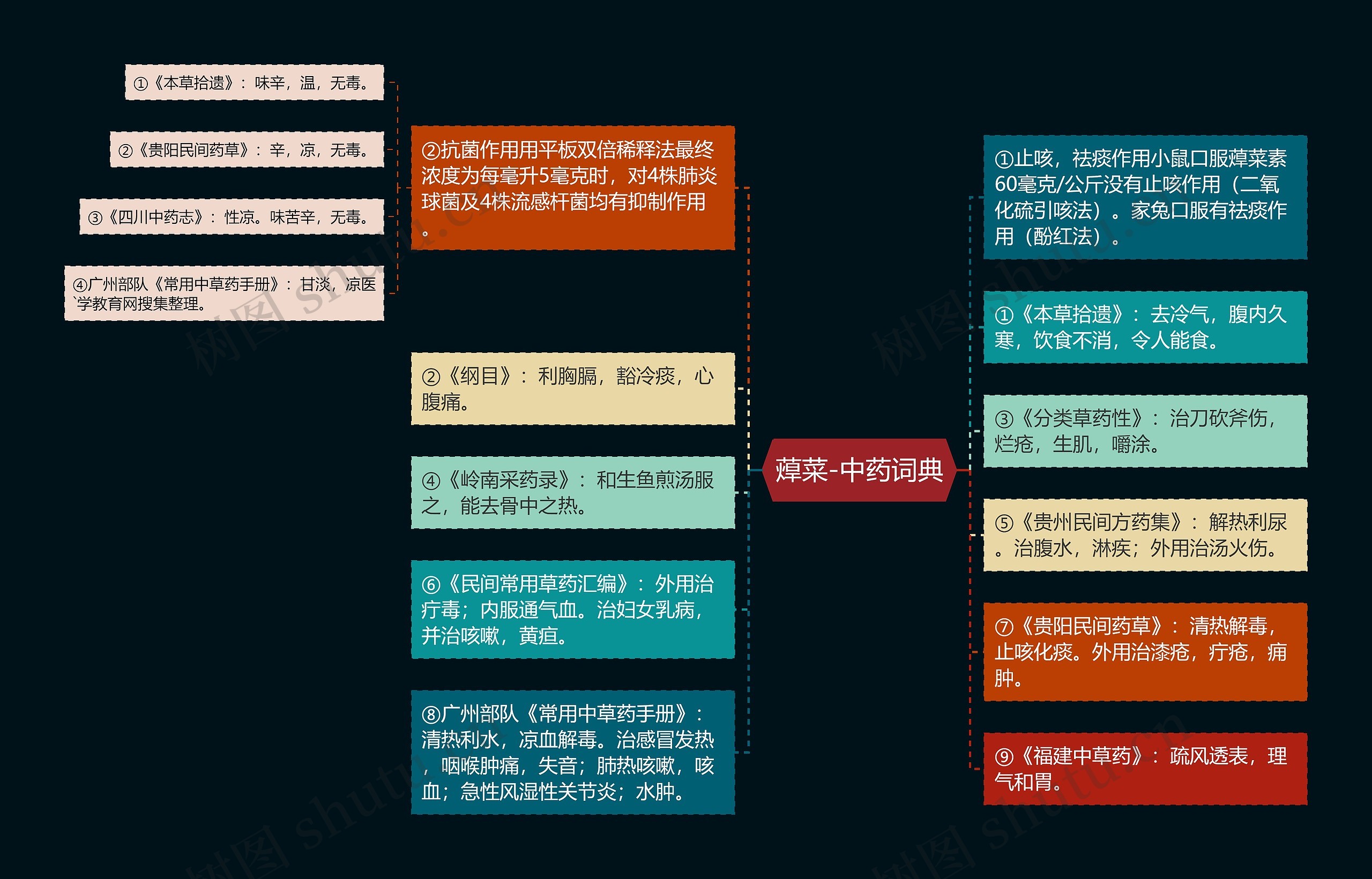 蔊菜-中药词典思维导图