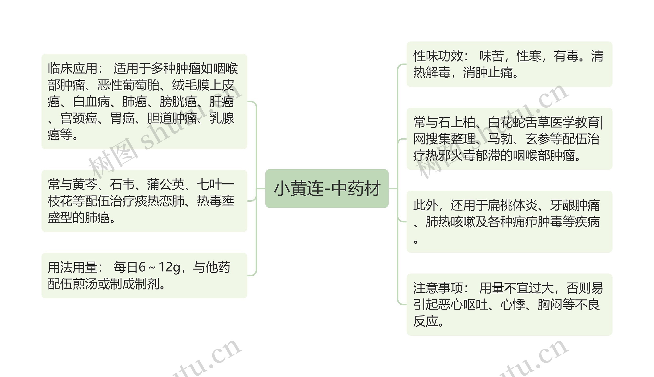 小黄连-中药材 小黄连-中药材