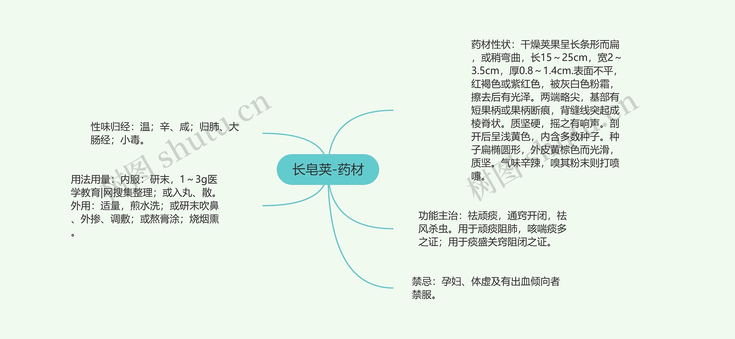 长皂荚-药材 长皂荚-药材