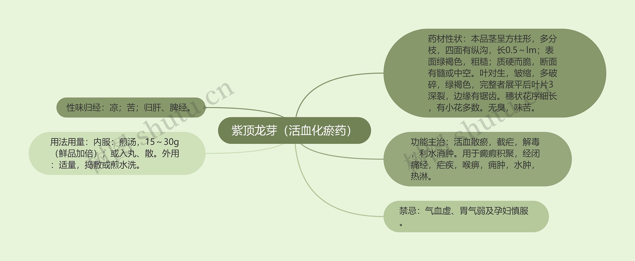 紫顶龙芽（活血化瘀药）思维导图