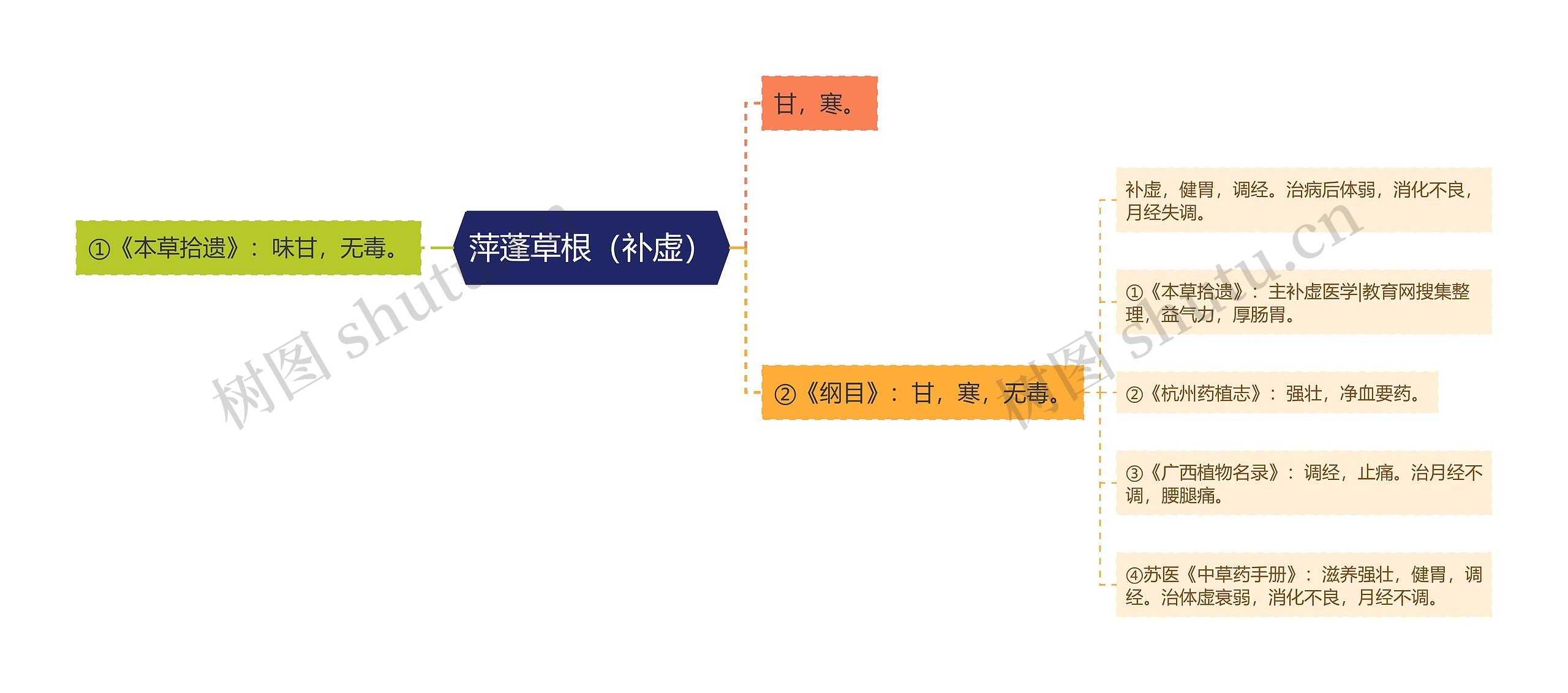 萍蓬草根（补虚）思维导图