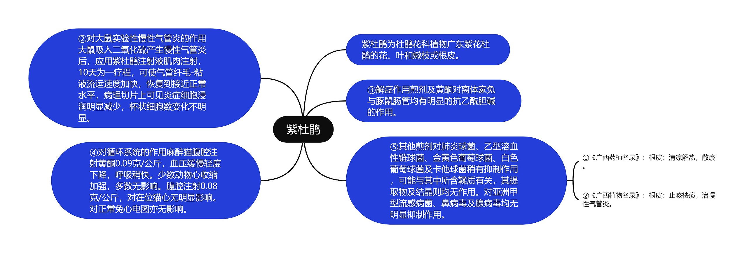 紫杜鹃思维导图