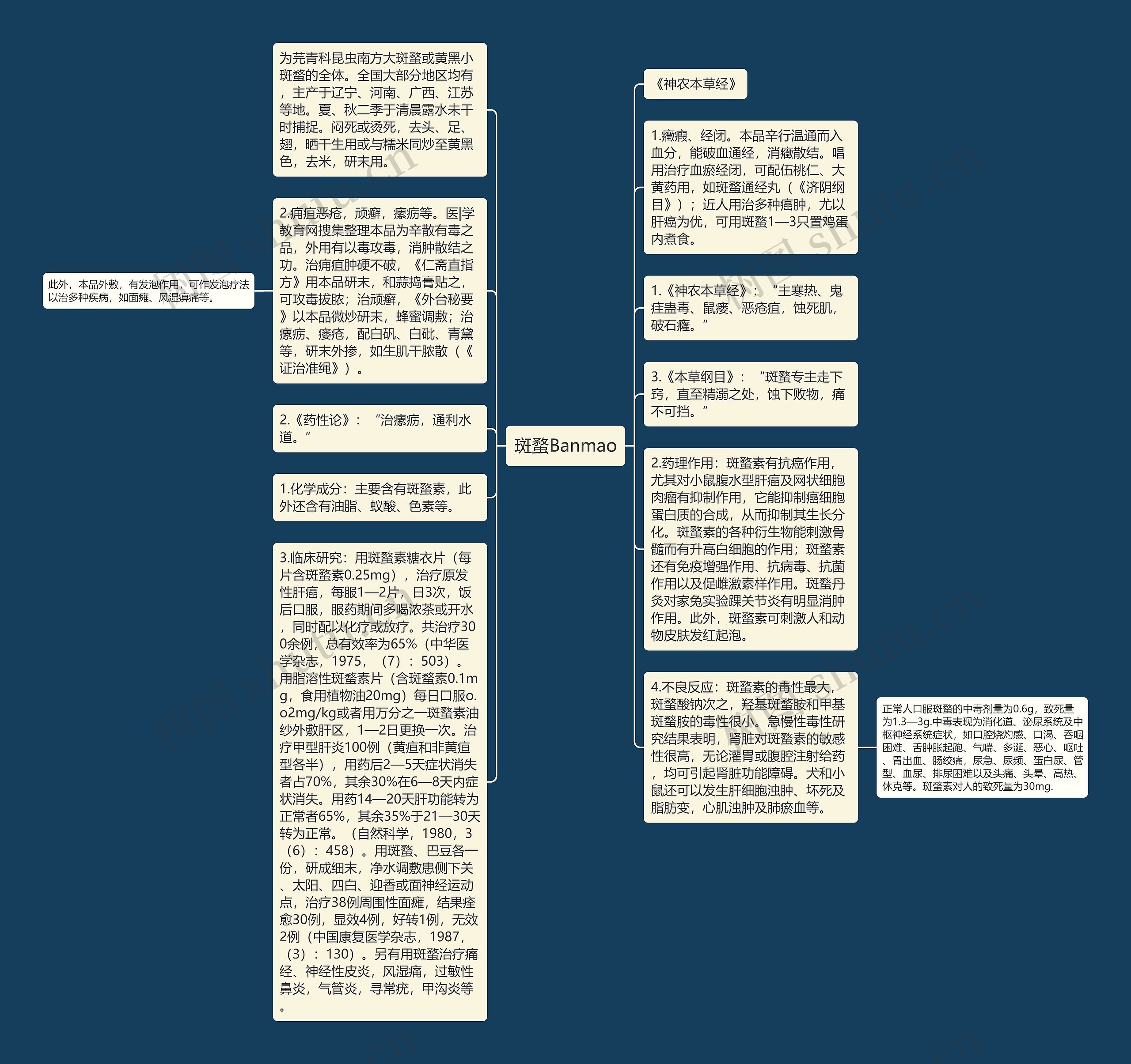 斑蝥Banmao思维导图