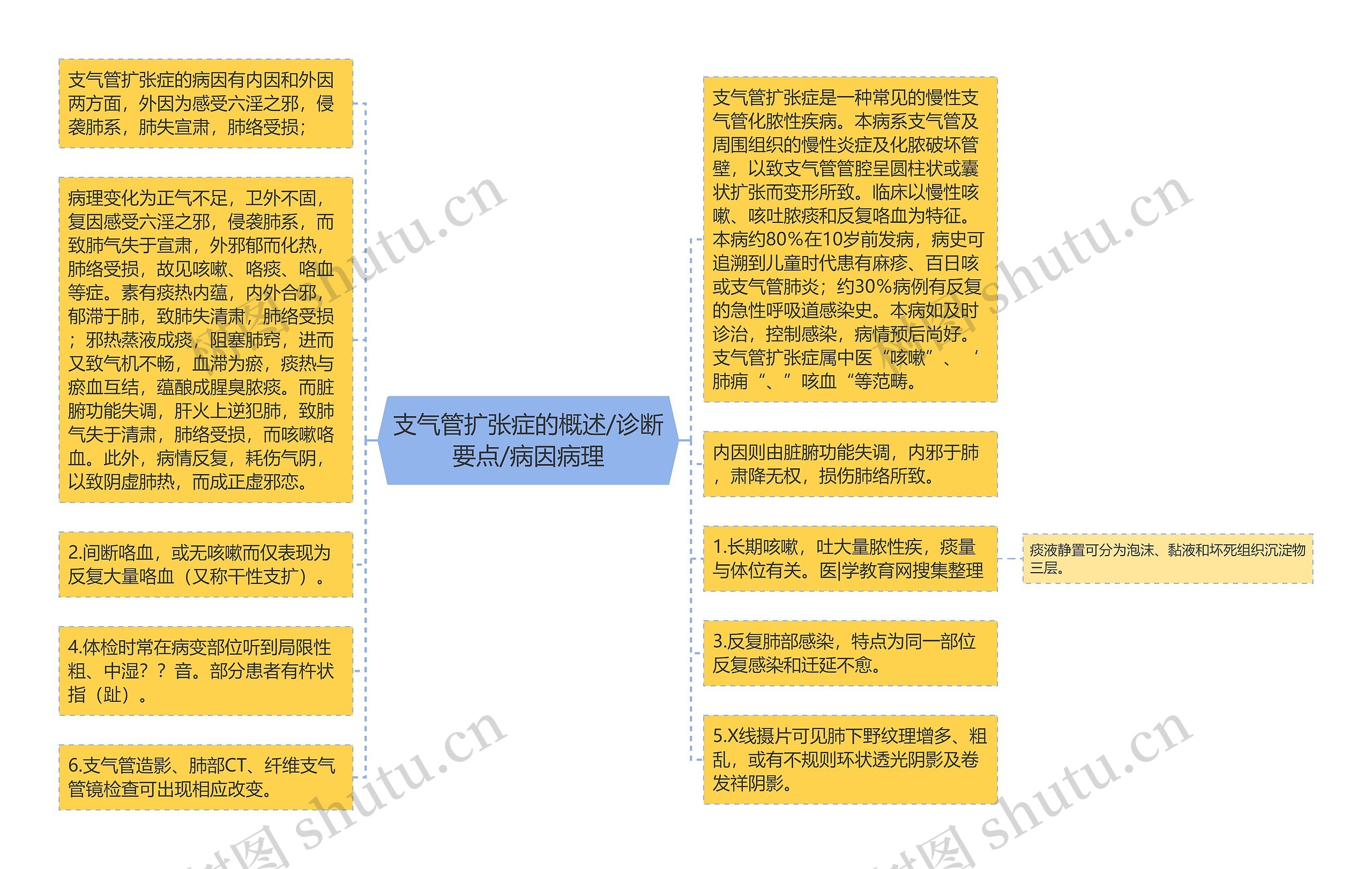 支气管扩张症的概述/诊断要点/病因病理