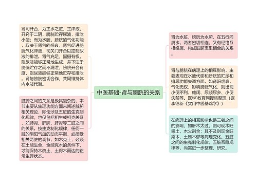 中医基础-肾与膀胱的关系