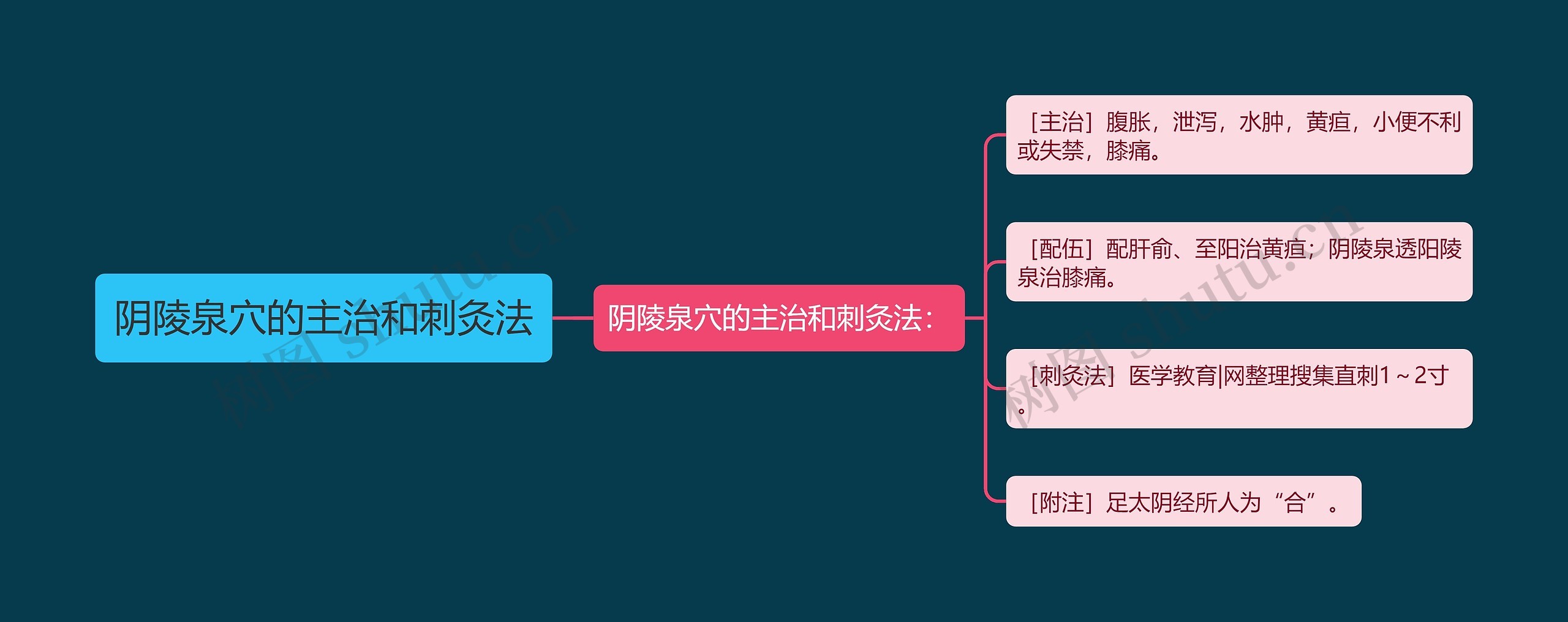 阴陵泉穴的主治和刺灸法思维导图