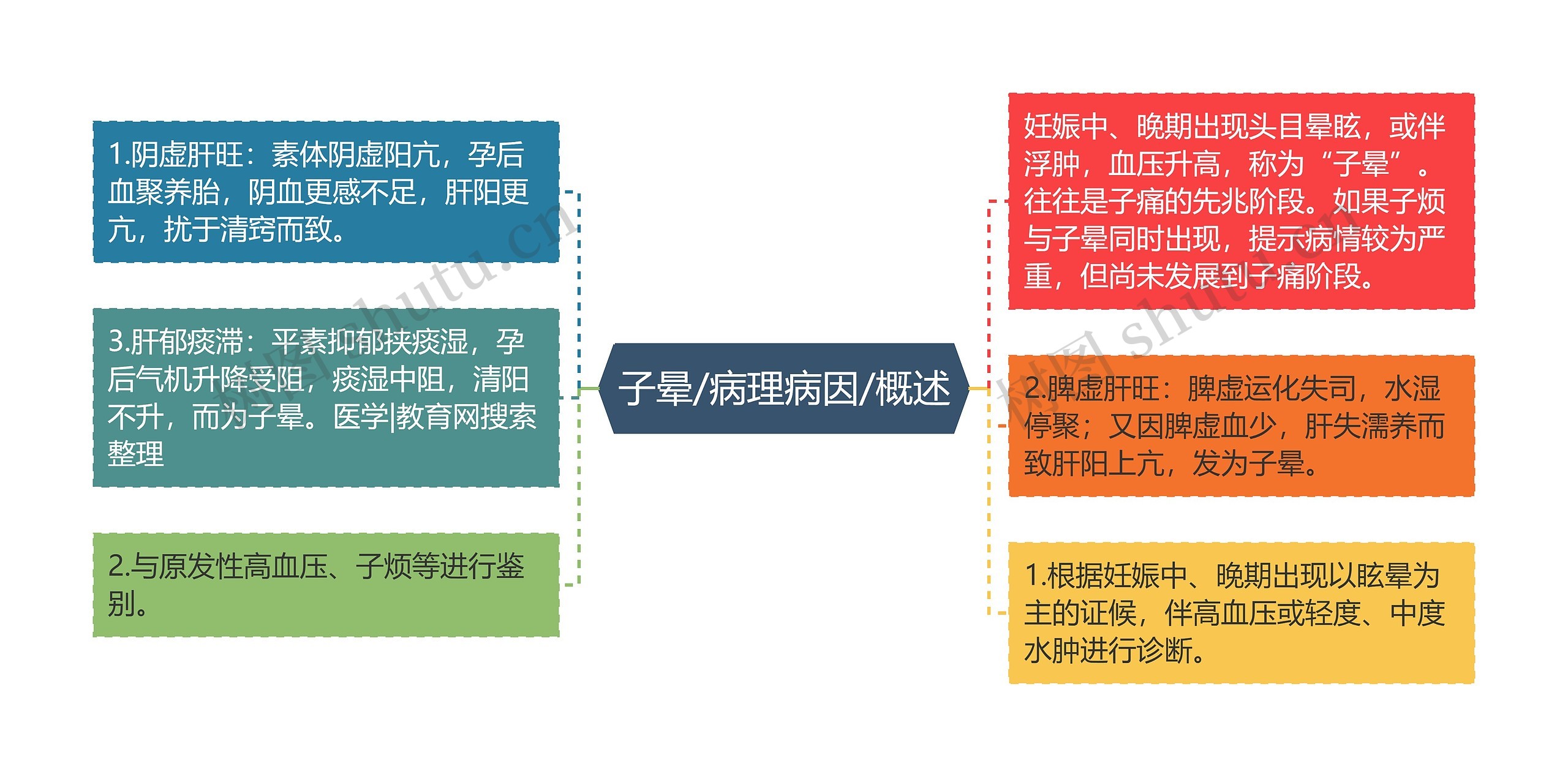 子晕/病理病因/概述