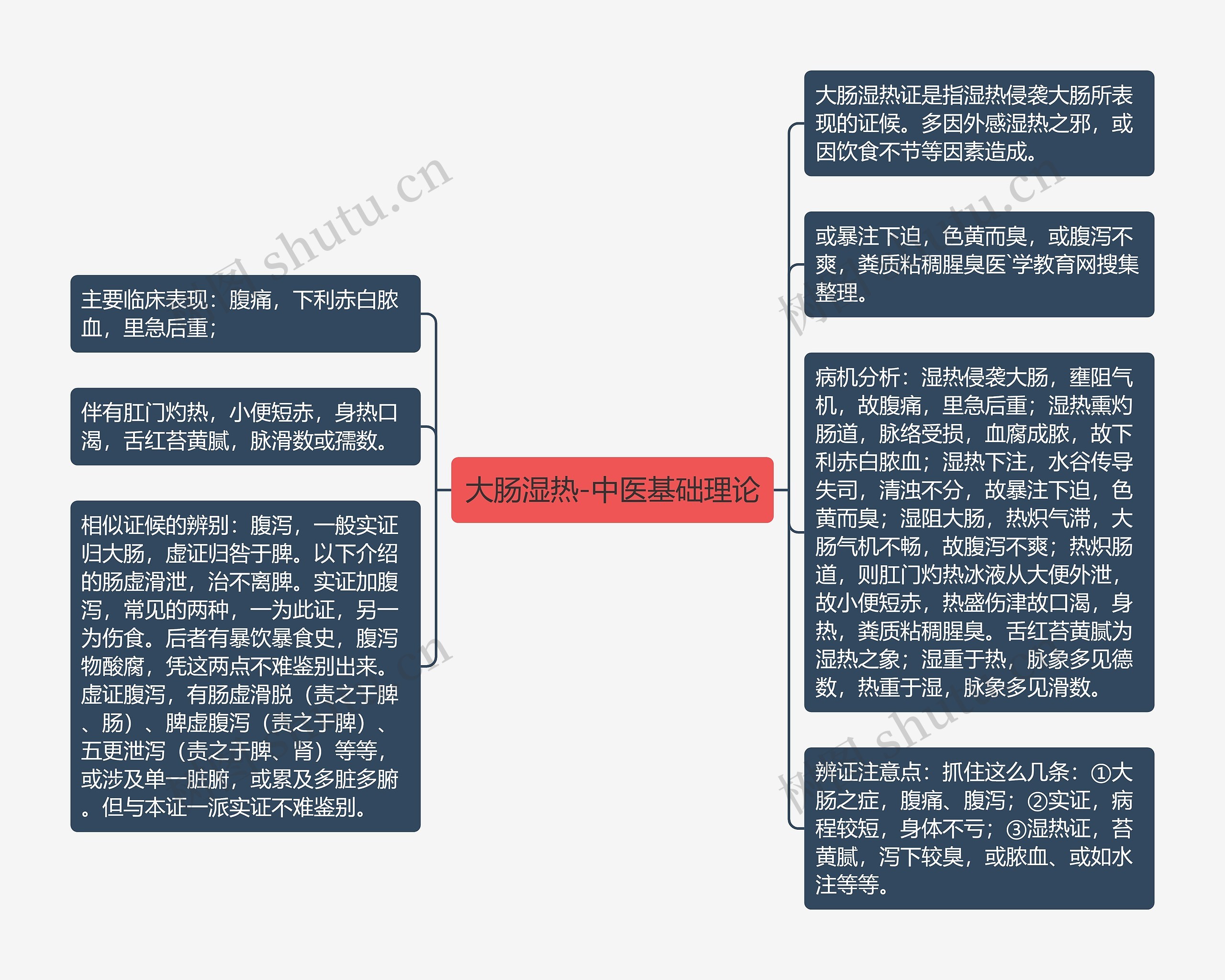 大肠湿热-中医基础理论思维导图