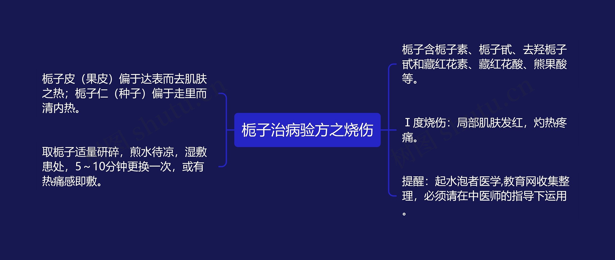 栀子治病验方之烧伤