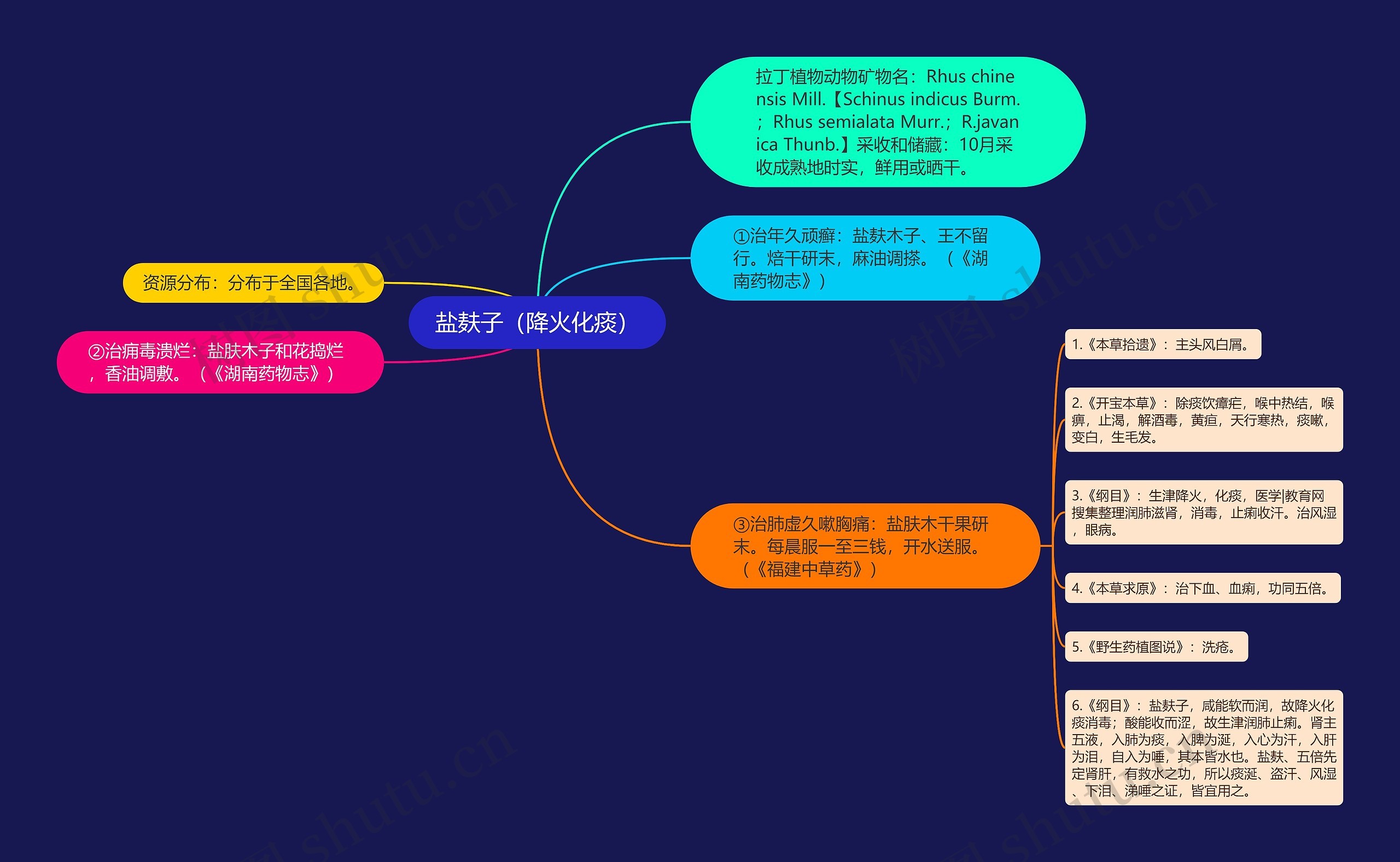 盐麸子（降火化痰）思维导图