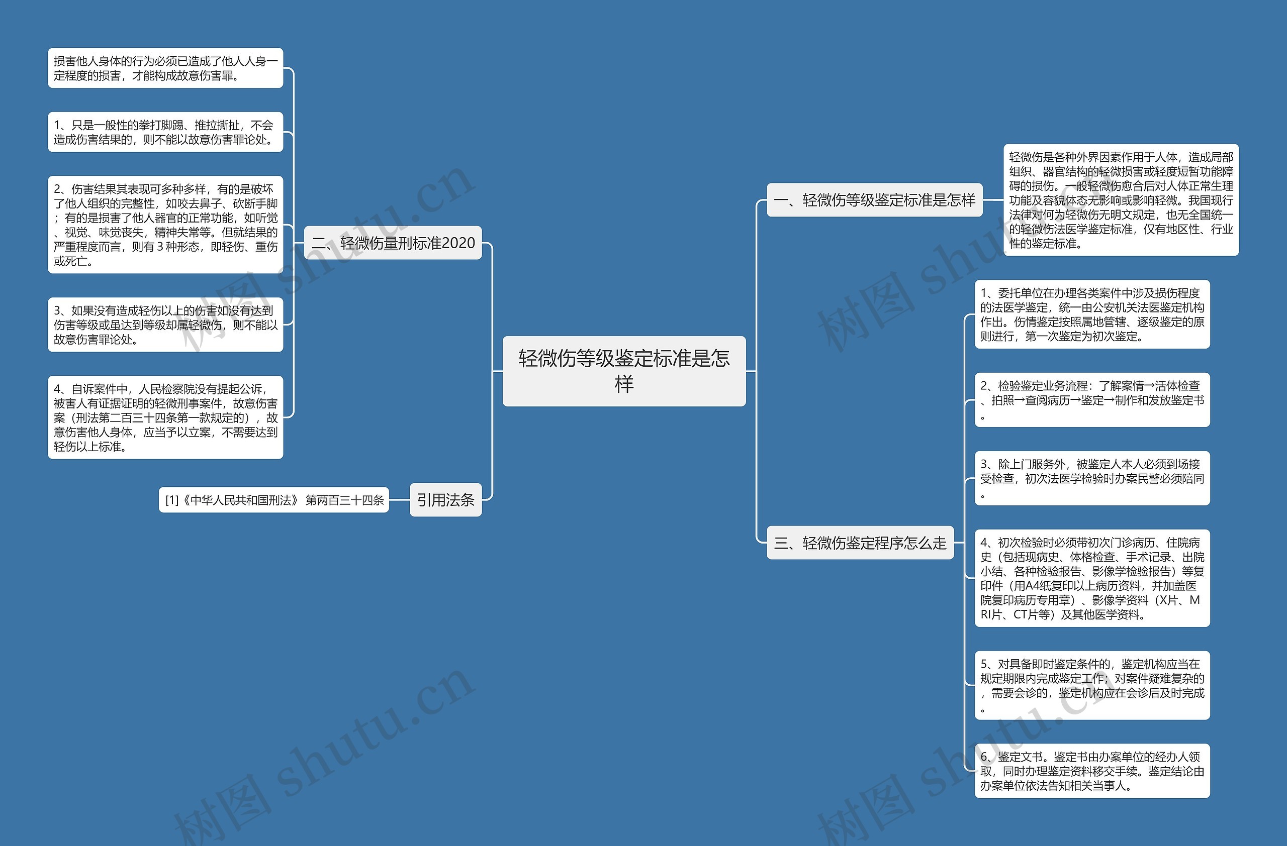轻微伤等级鉴定标准是怎样思维导图