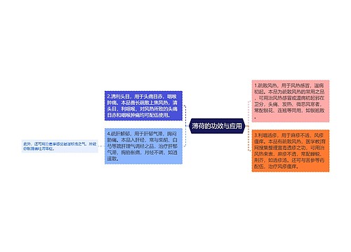 薄荷的功效与应用