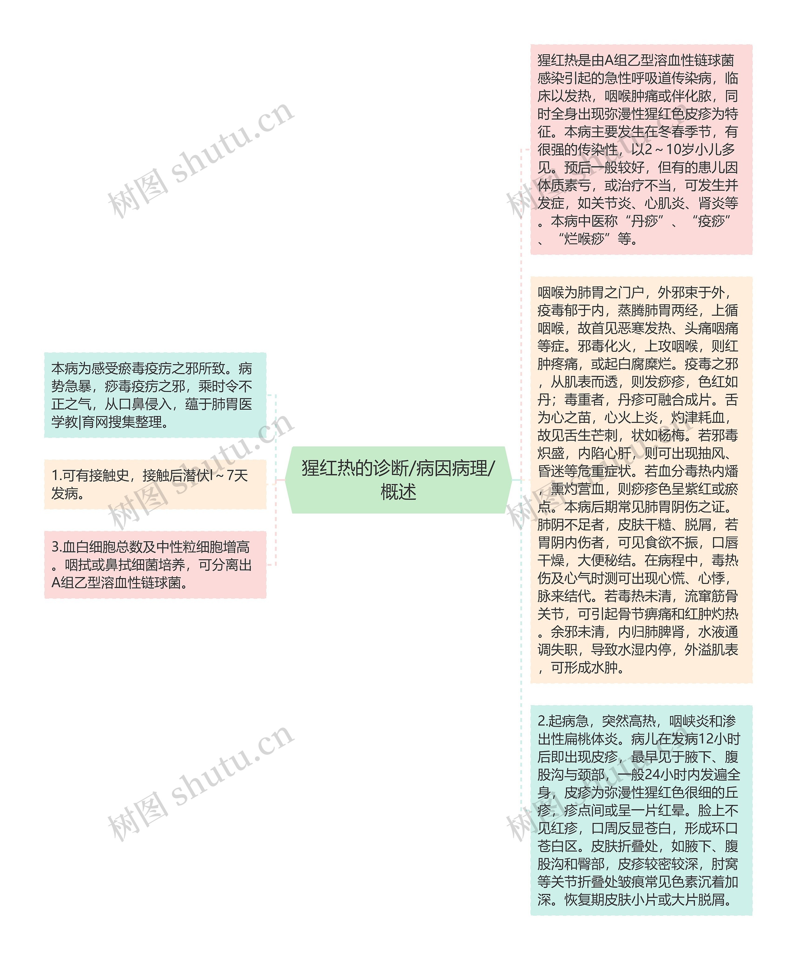 猩红热的诊断/病因病理/概述思维导图