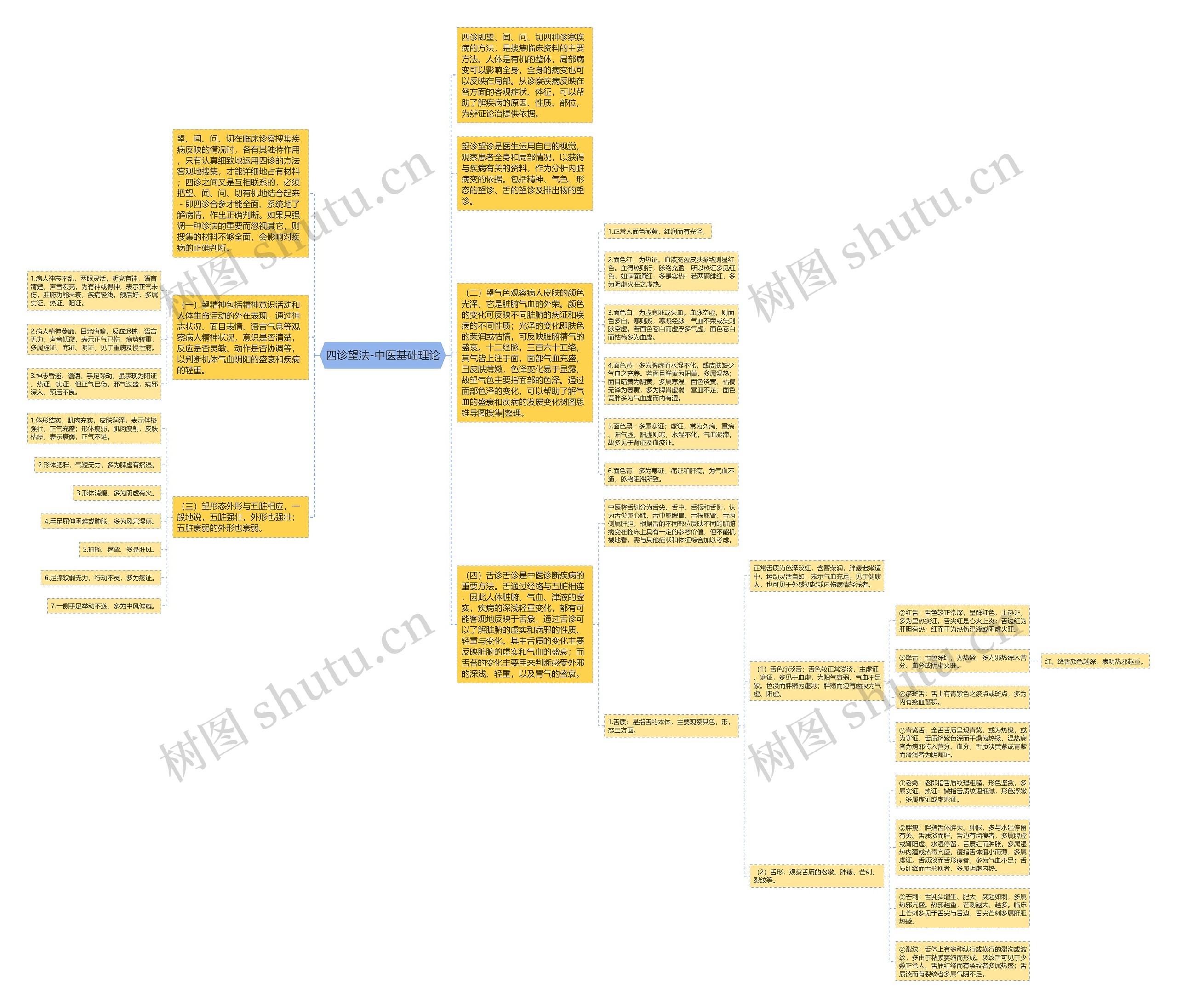 四诊望法-中医基础理论思维导图