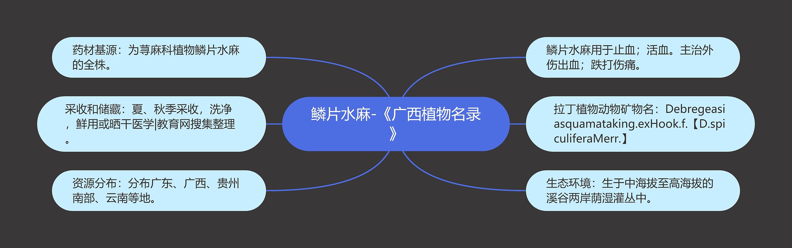 鳞片水麻-《广西植物名录》 鳞片水麻-《广西植物名录》