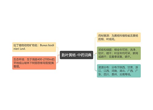 匙叶黄杨-中药词典