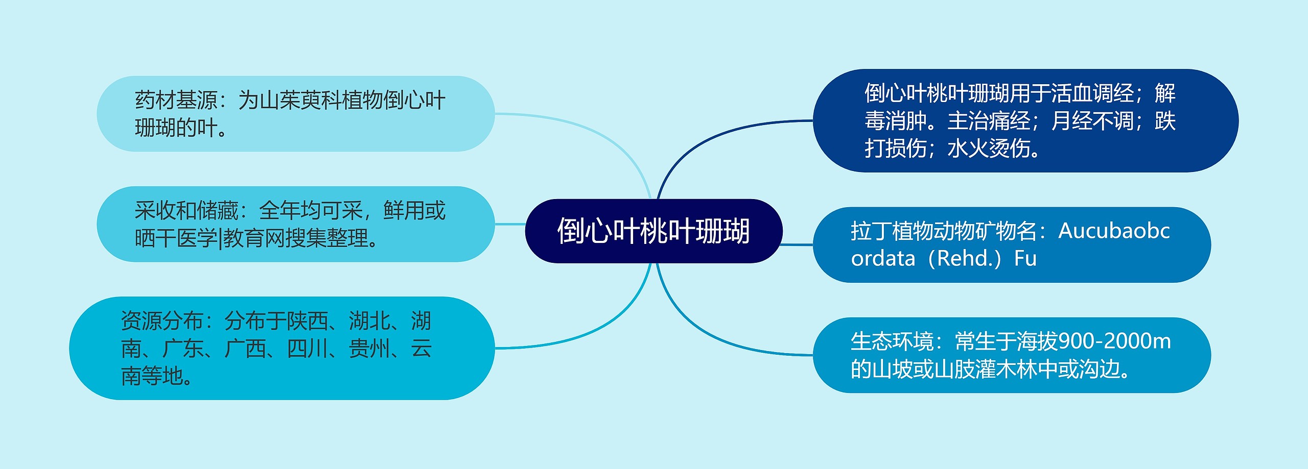 倒心叶桃叶珊瑚