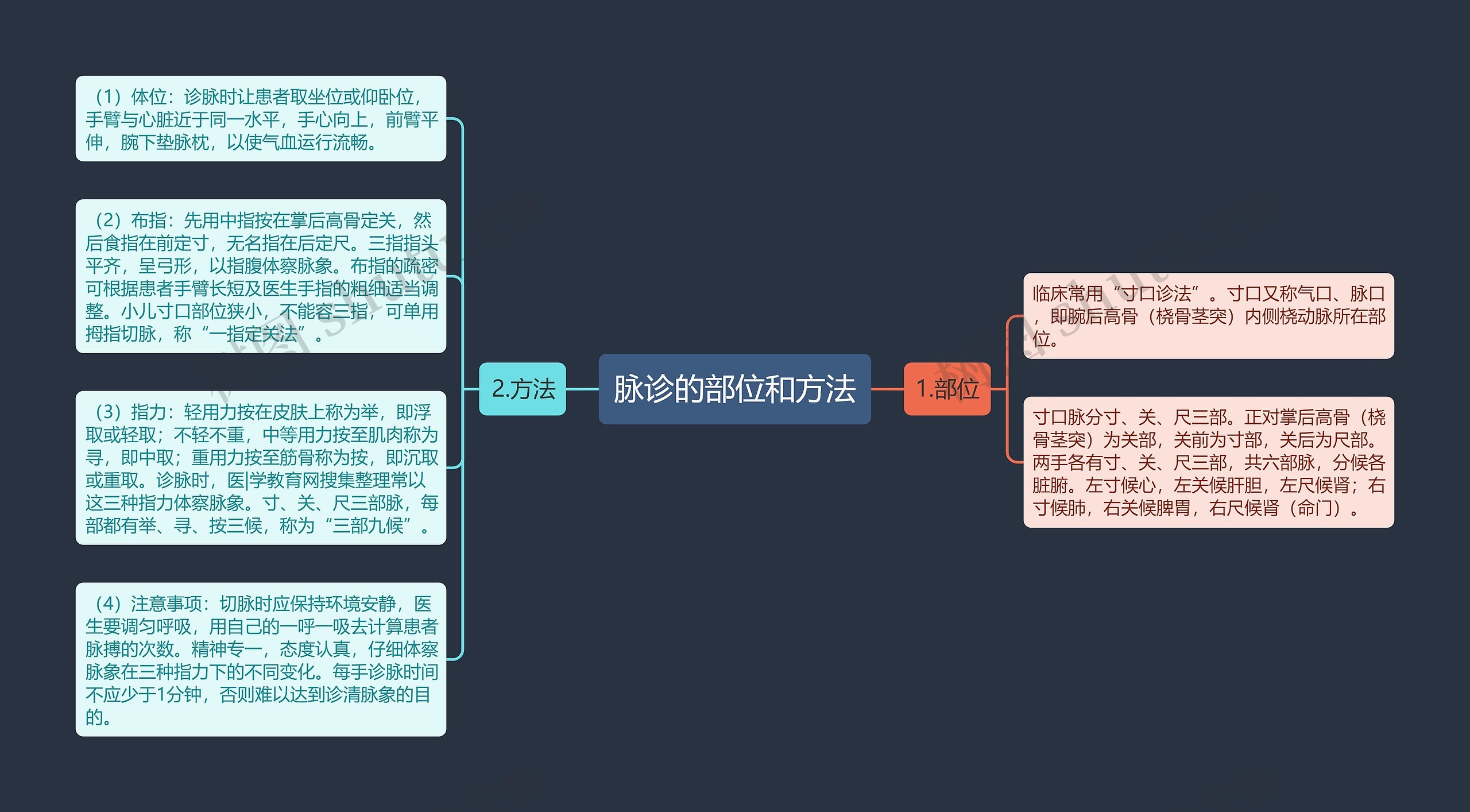 脉诊的部位和方法