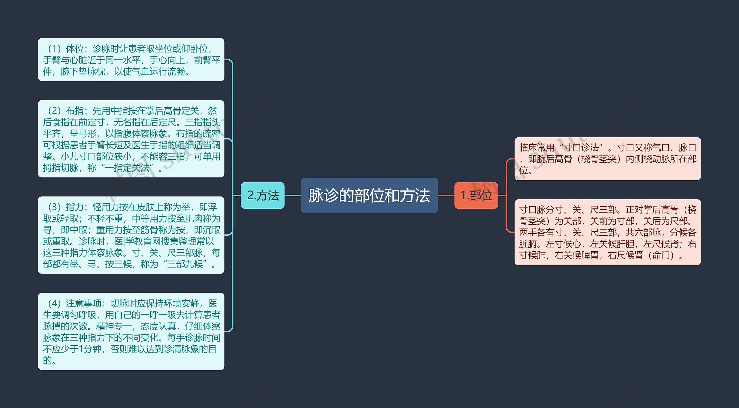 脉诊的部位和方法思维导图