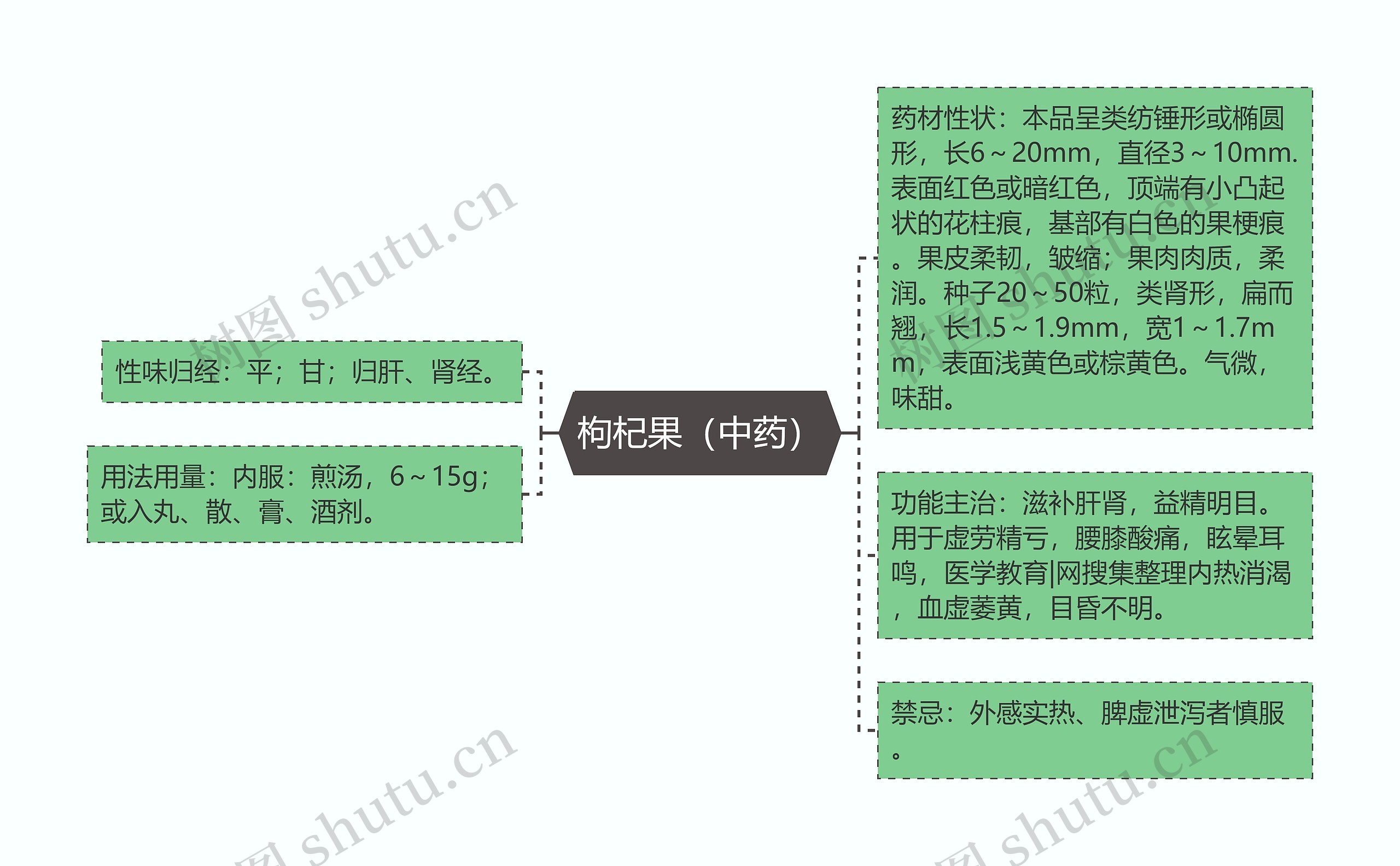 枸杞果（中药）思维导图