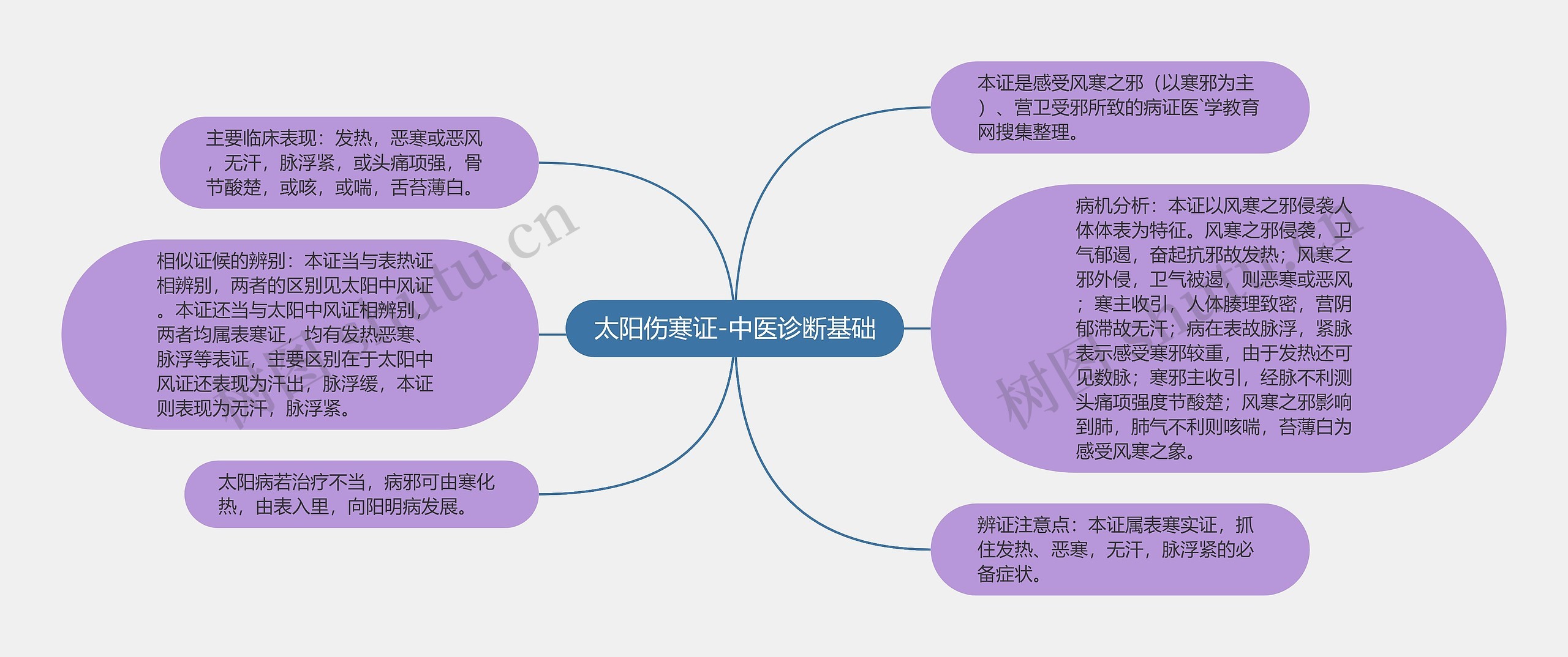 太阳伤寒证-中医诊断基础