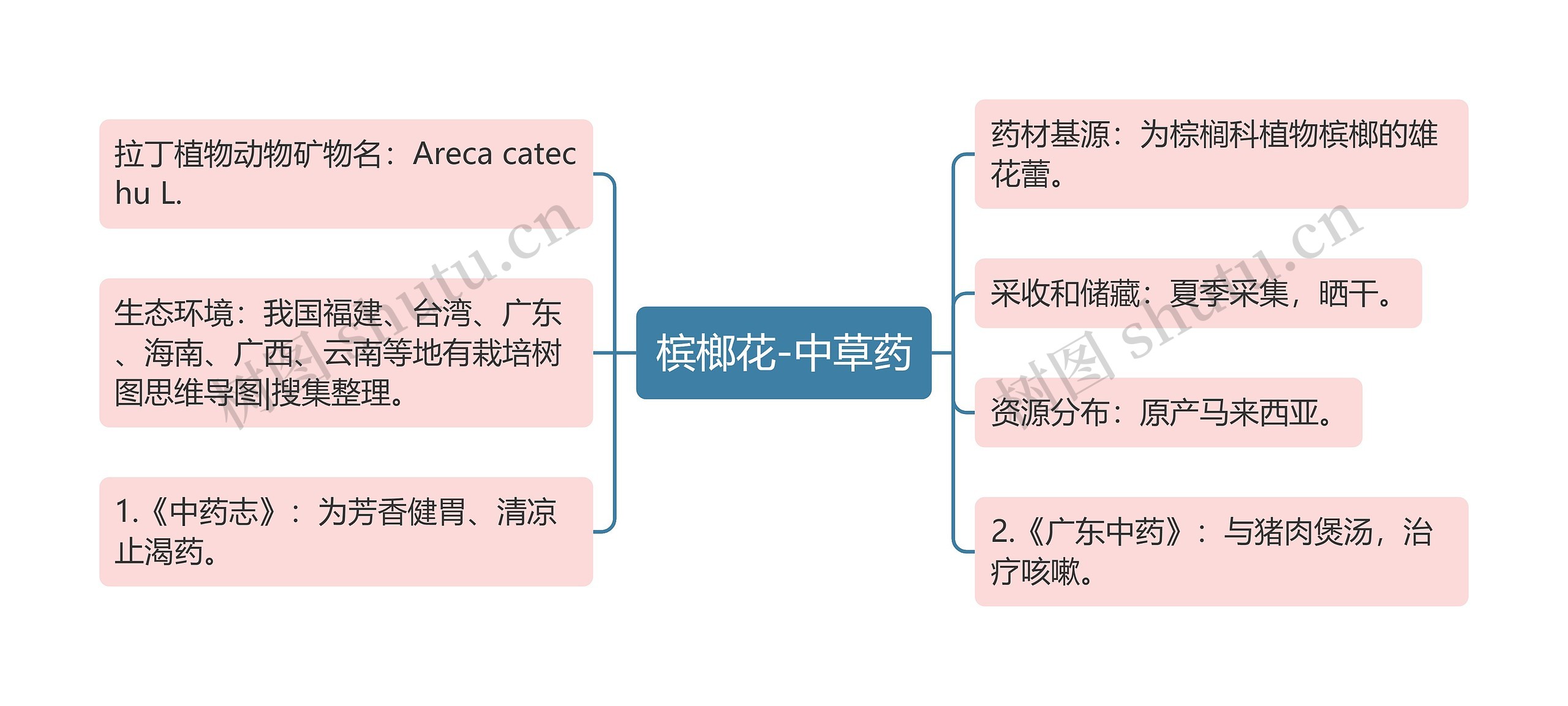 槟榔花-中草药思维导图