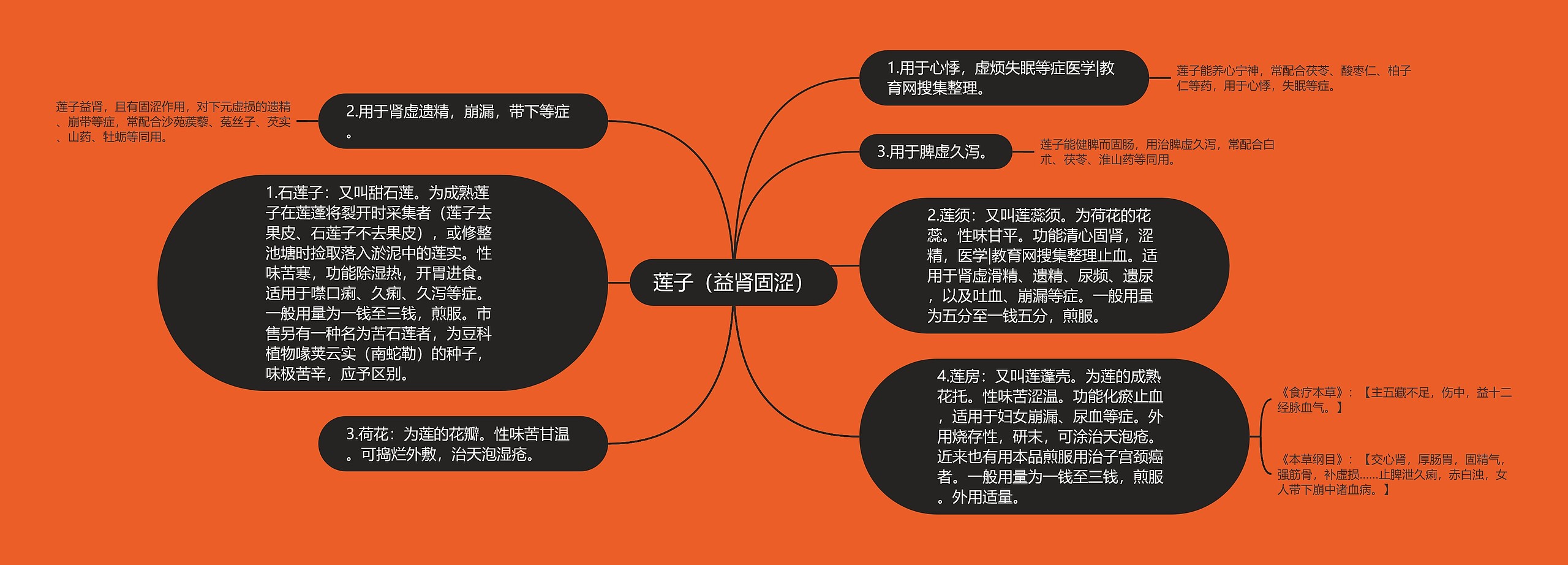 莲子(益肾固涩) 莲子(益肾固涩)