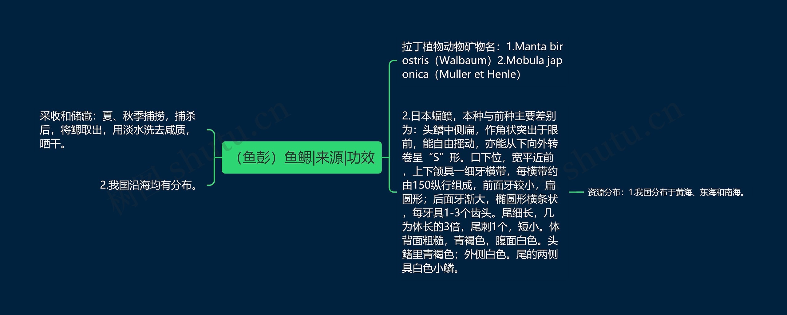 （鱼彭）鱼鳃|来源|功效思维导图