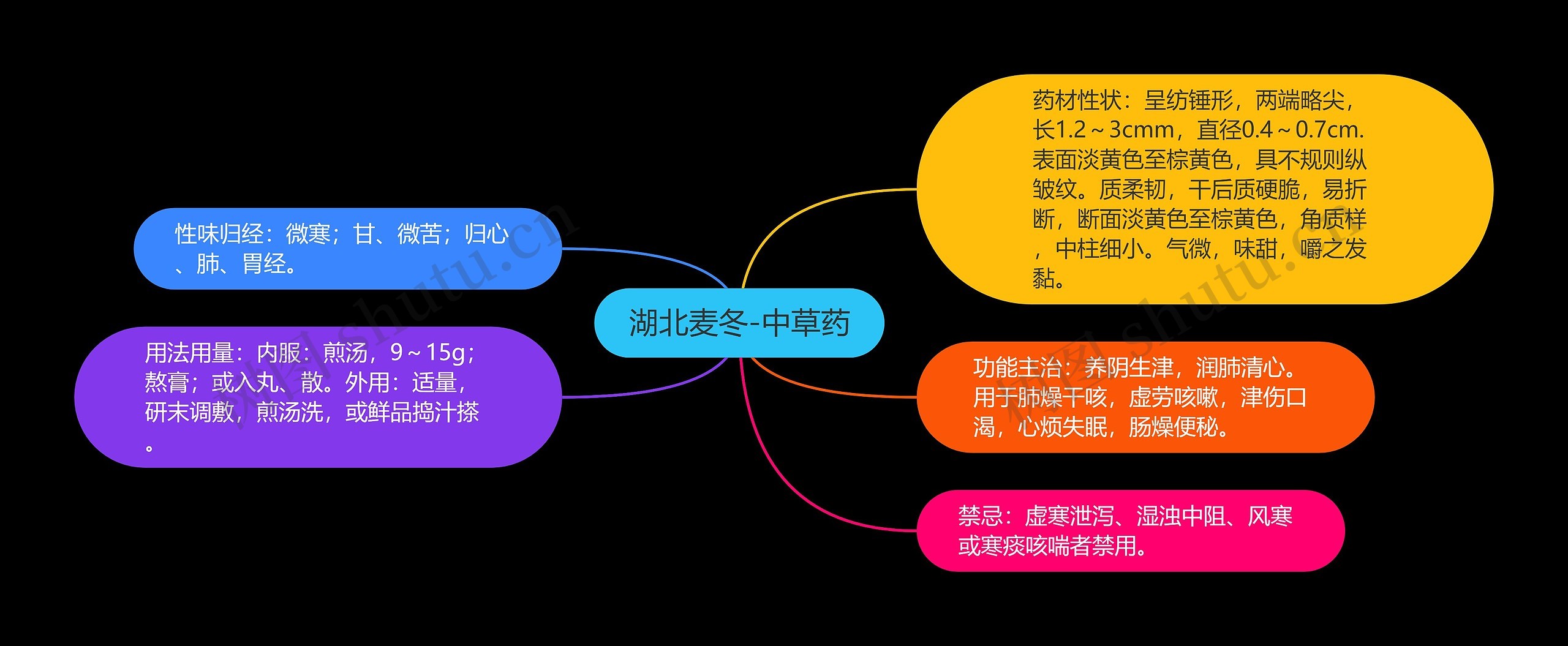 湖北麦冬-中草药思维导图