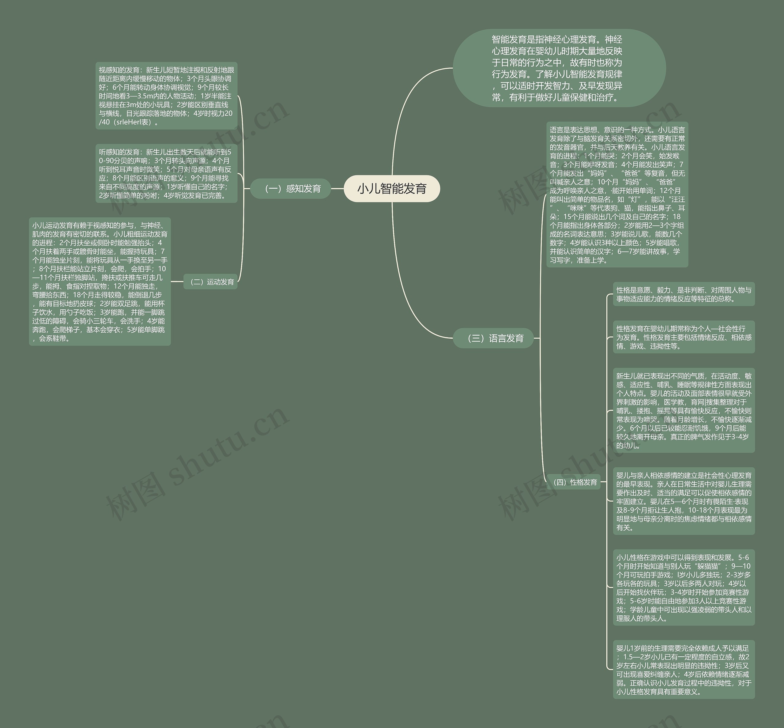 小儿智能发育思维导图