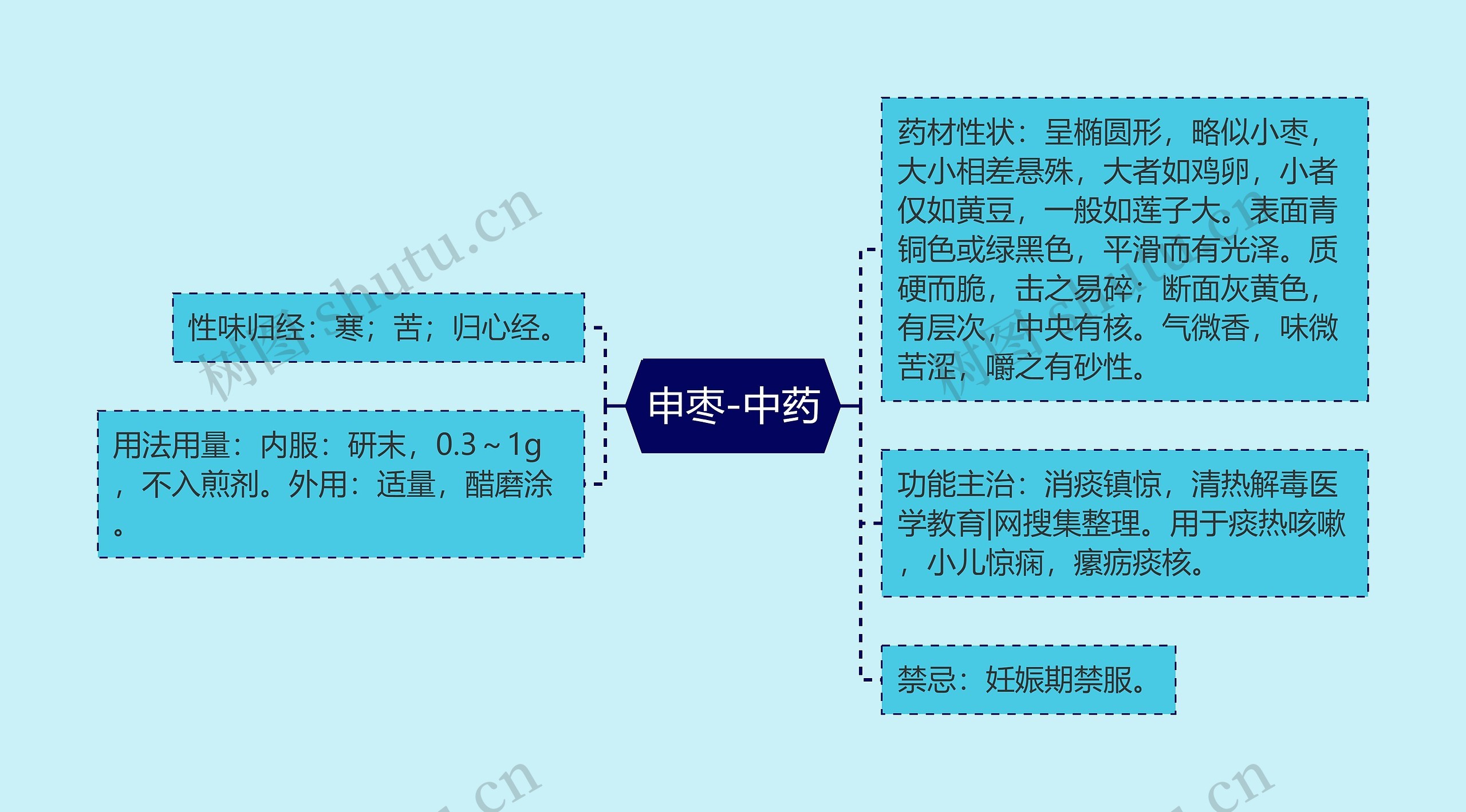 申枣-中药思维导图