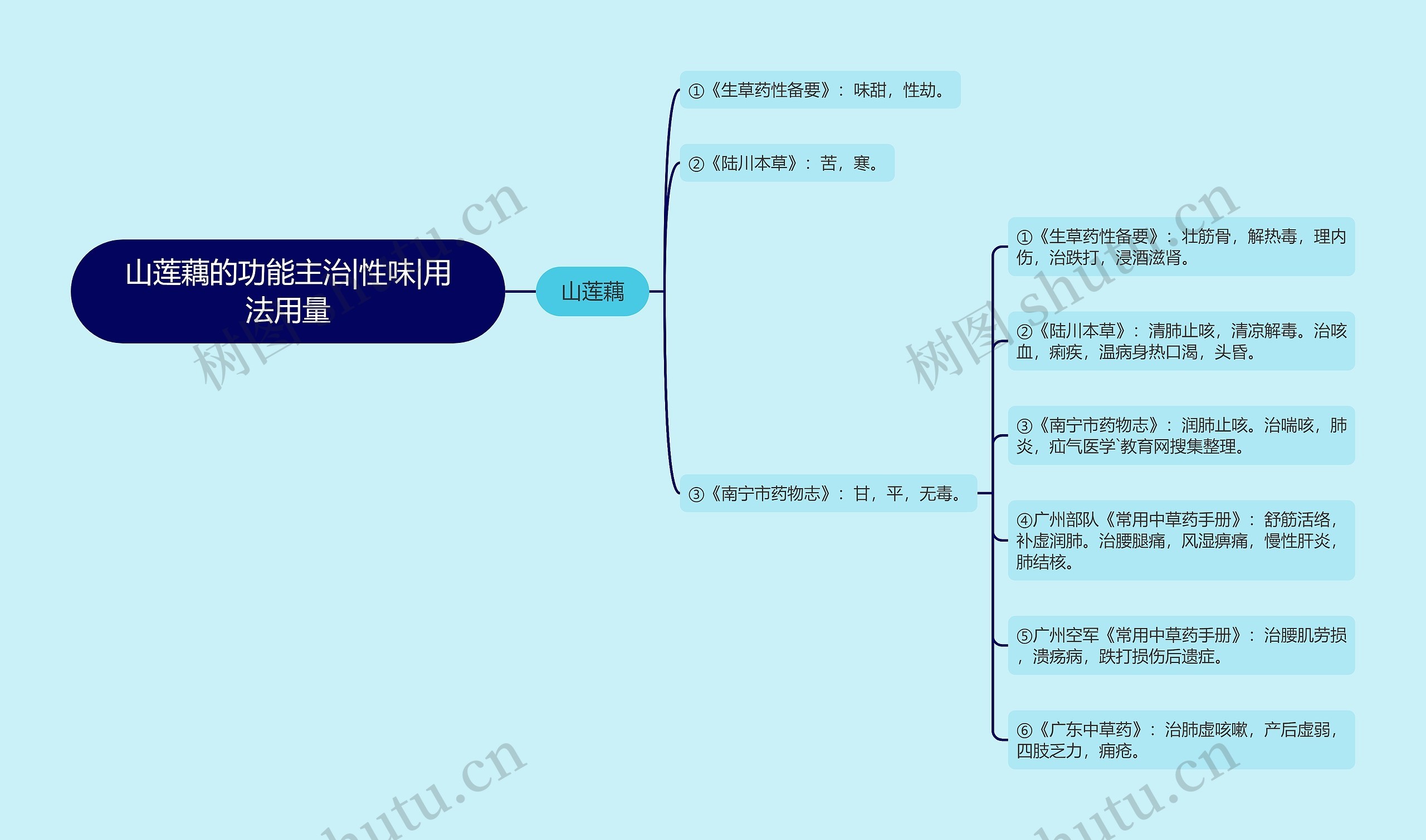 山莲藕的功能主治|性味|用法用量思维导图