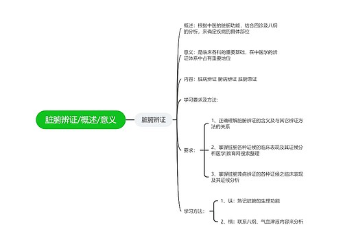 脏腑辨证/概述/意义