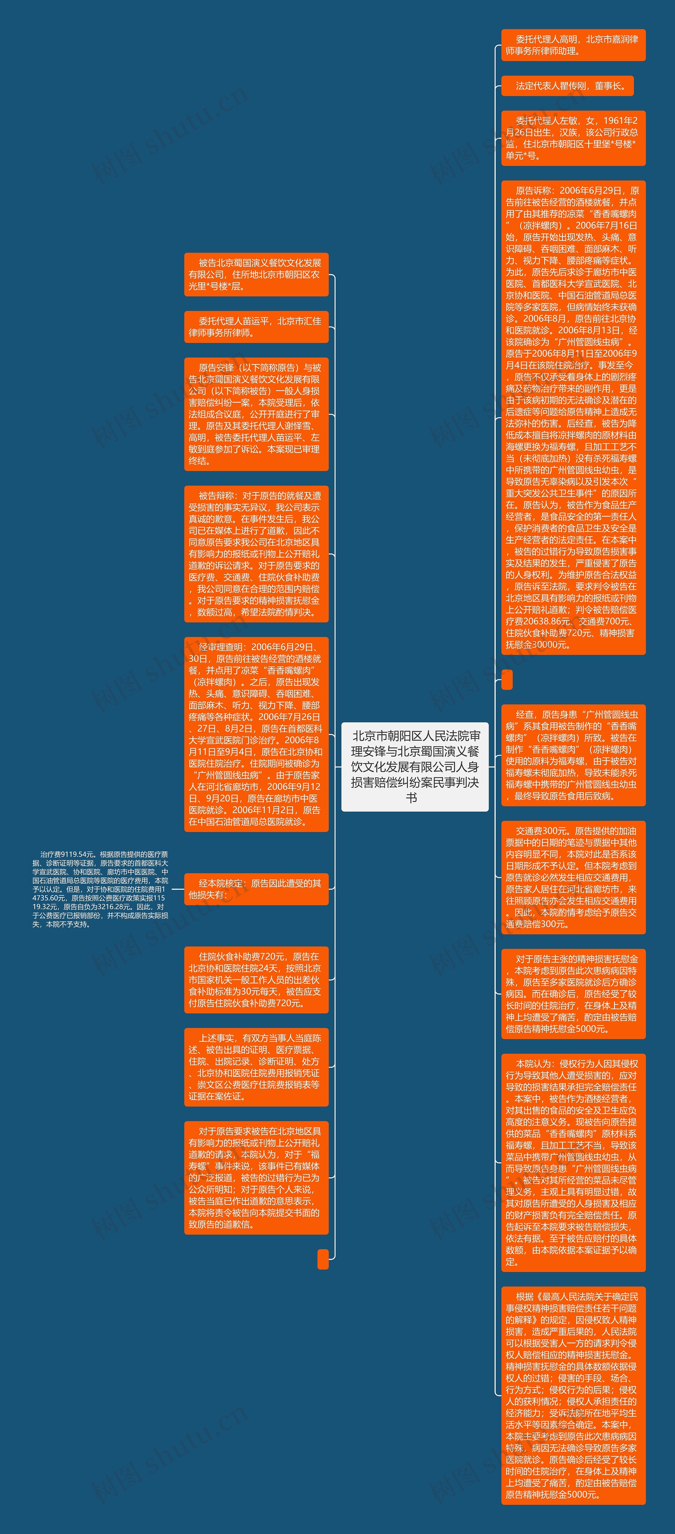 北京市朝阳区人民法院审理安锋与北京蜀国演义餐饮文化发展有限公司人身损害赔偿纠纷案民事判决书  思维导图