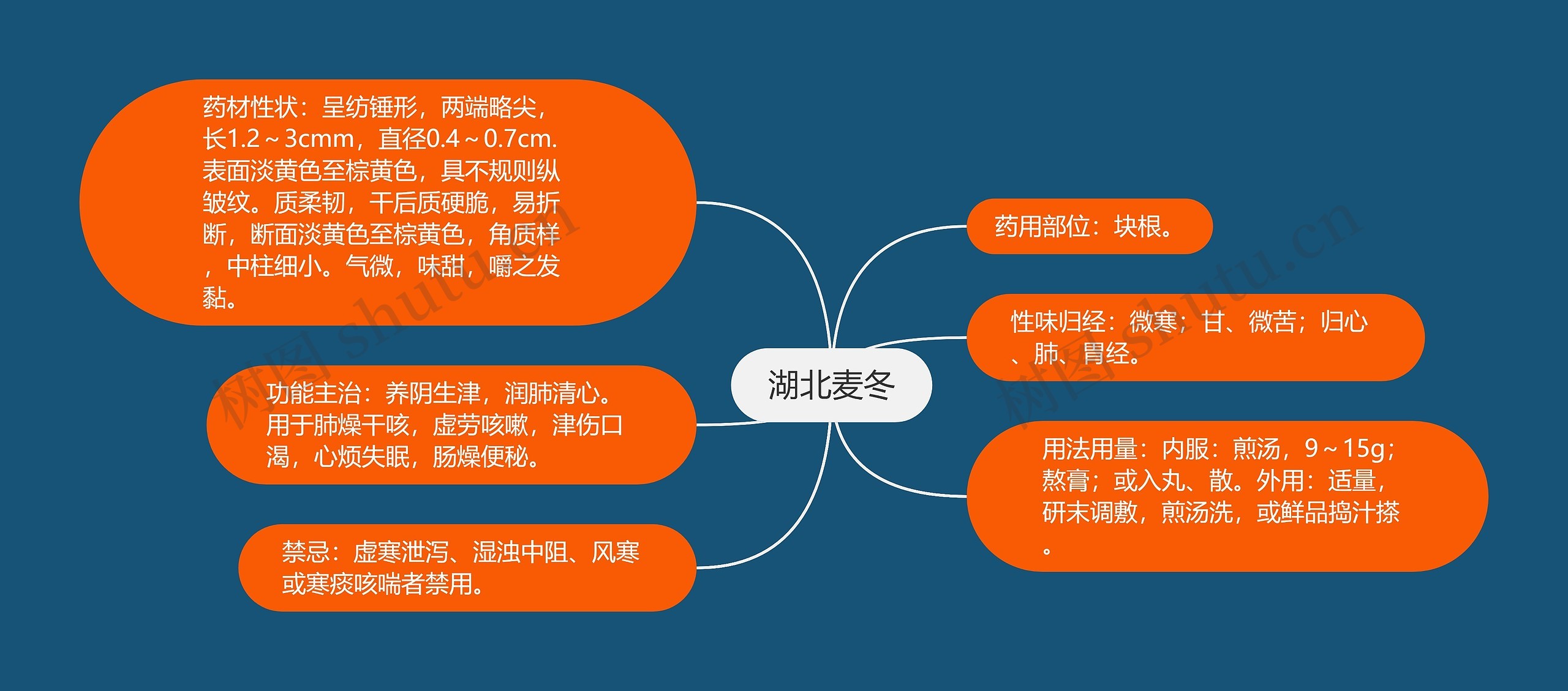 湖北麦冬 湖北麦冬