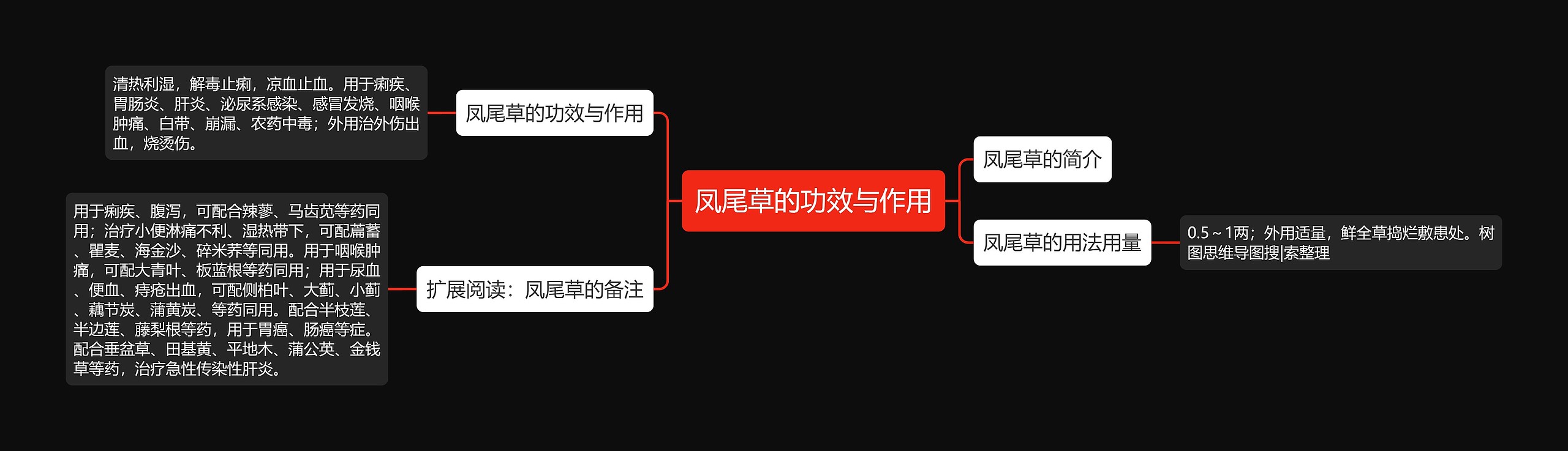 凤尾草的功效与作用 凤尾草的功效与作用