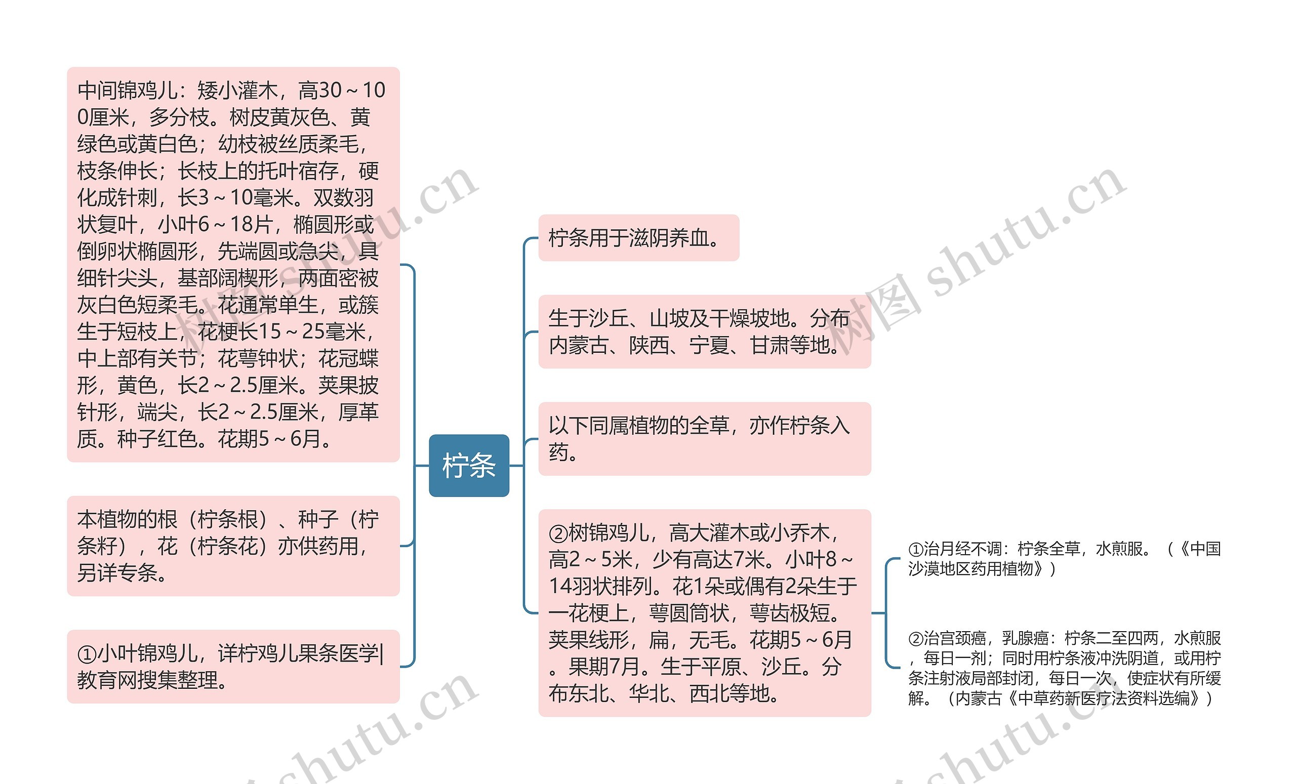 柠条思维导图