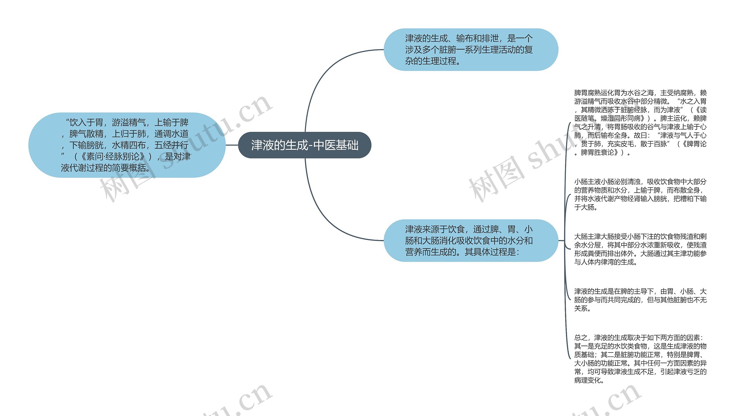 津液的生成-中医基础思维导图