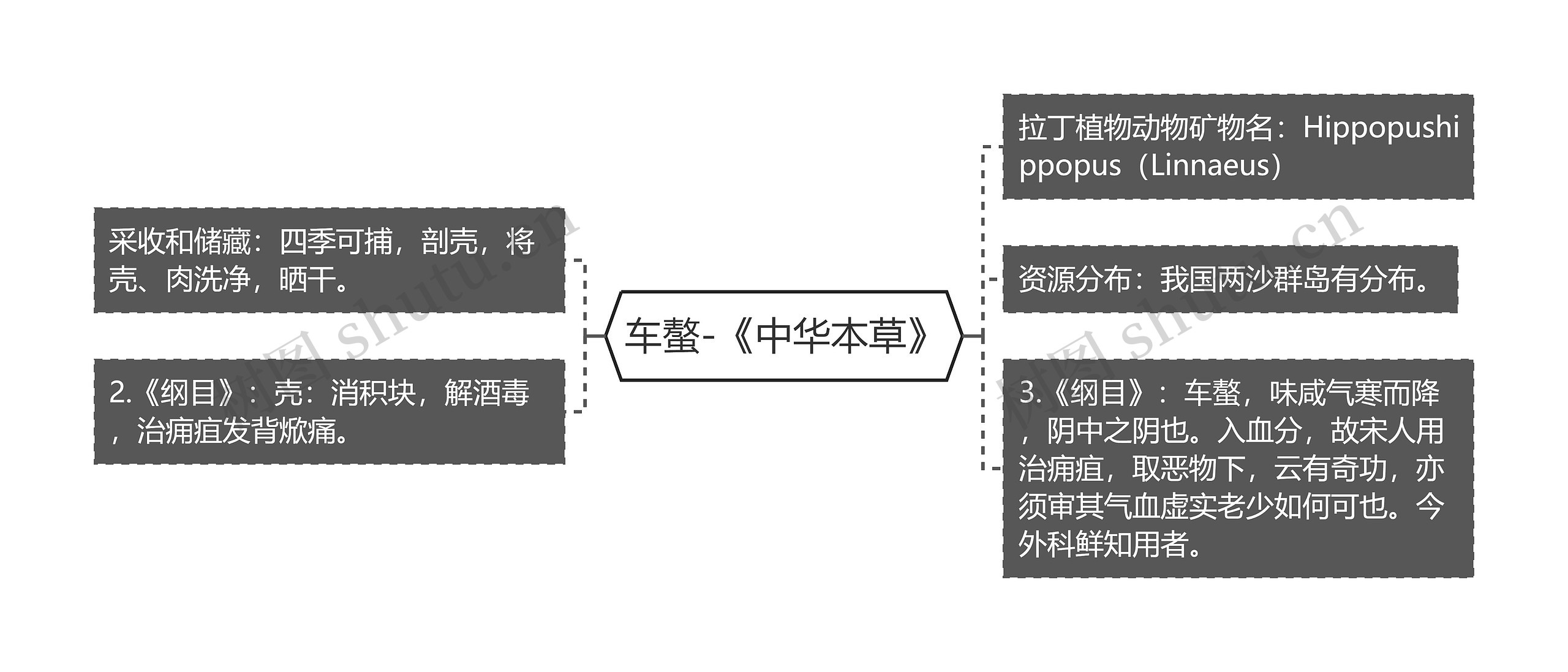 车螯-《中华本草》