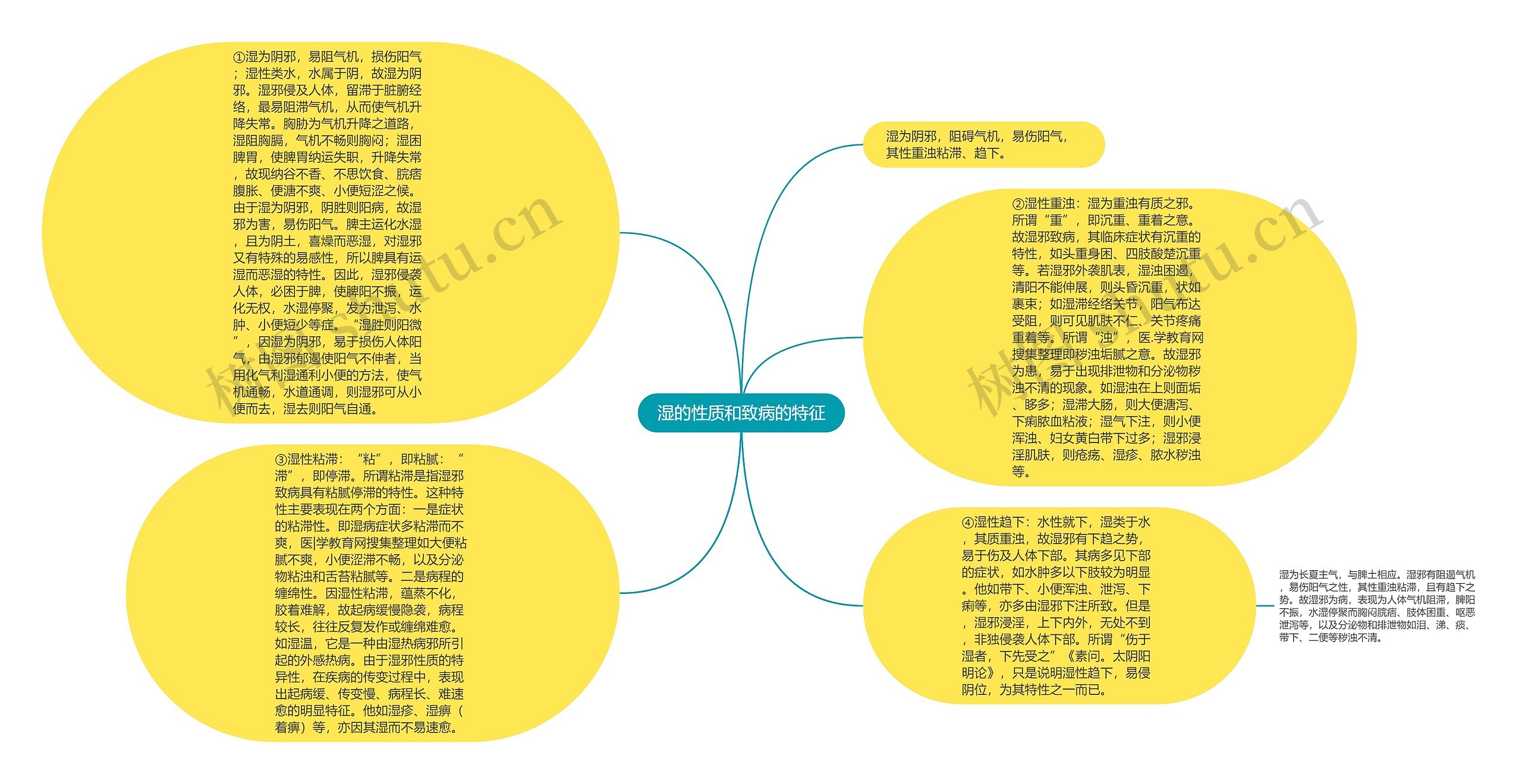 湿的性质和致病的特征思维导图