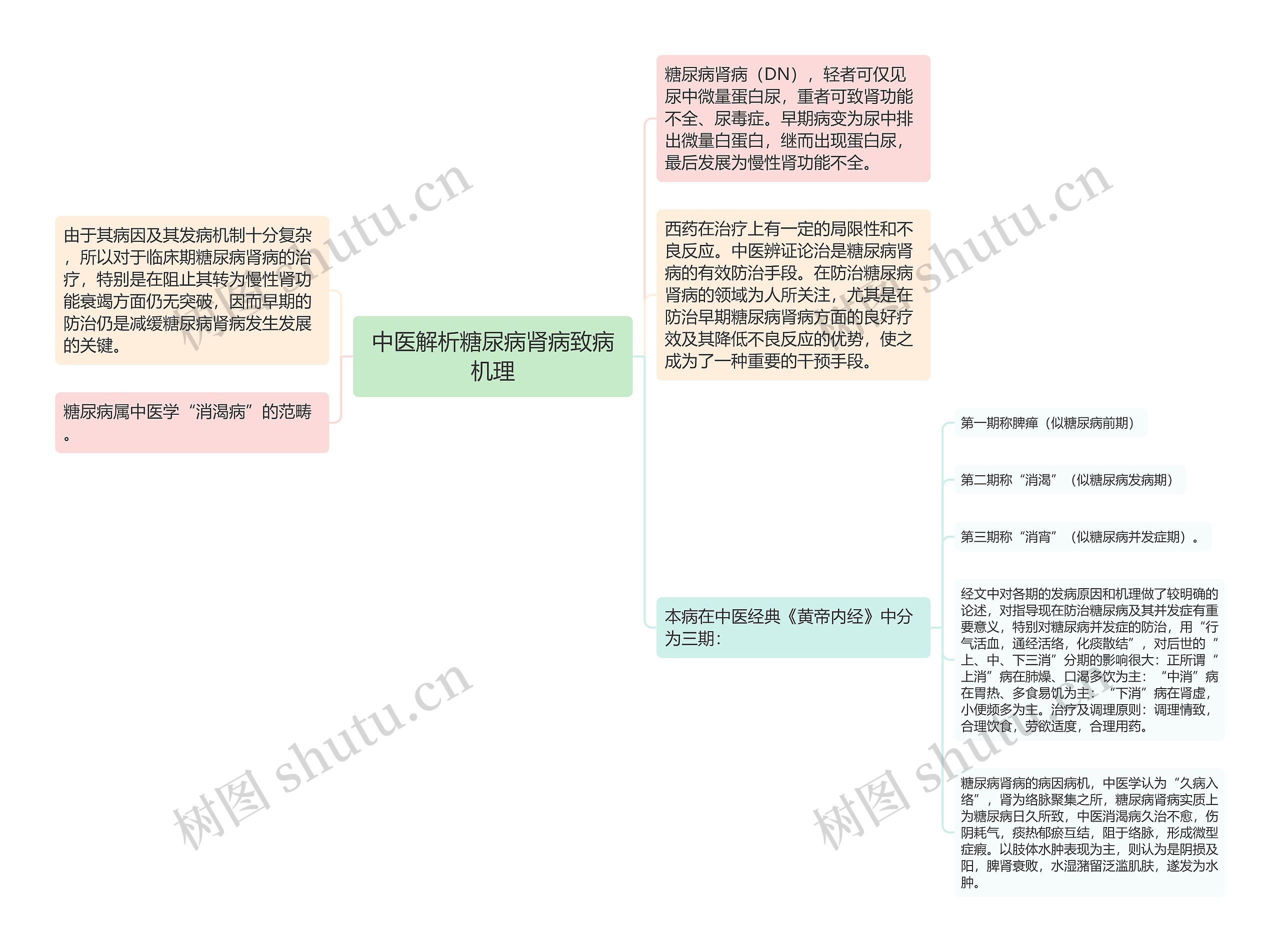 中医解析糖尿病肾病致病机理