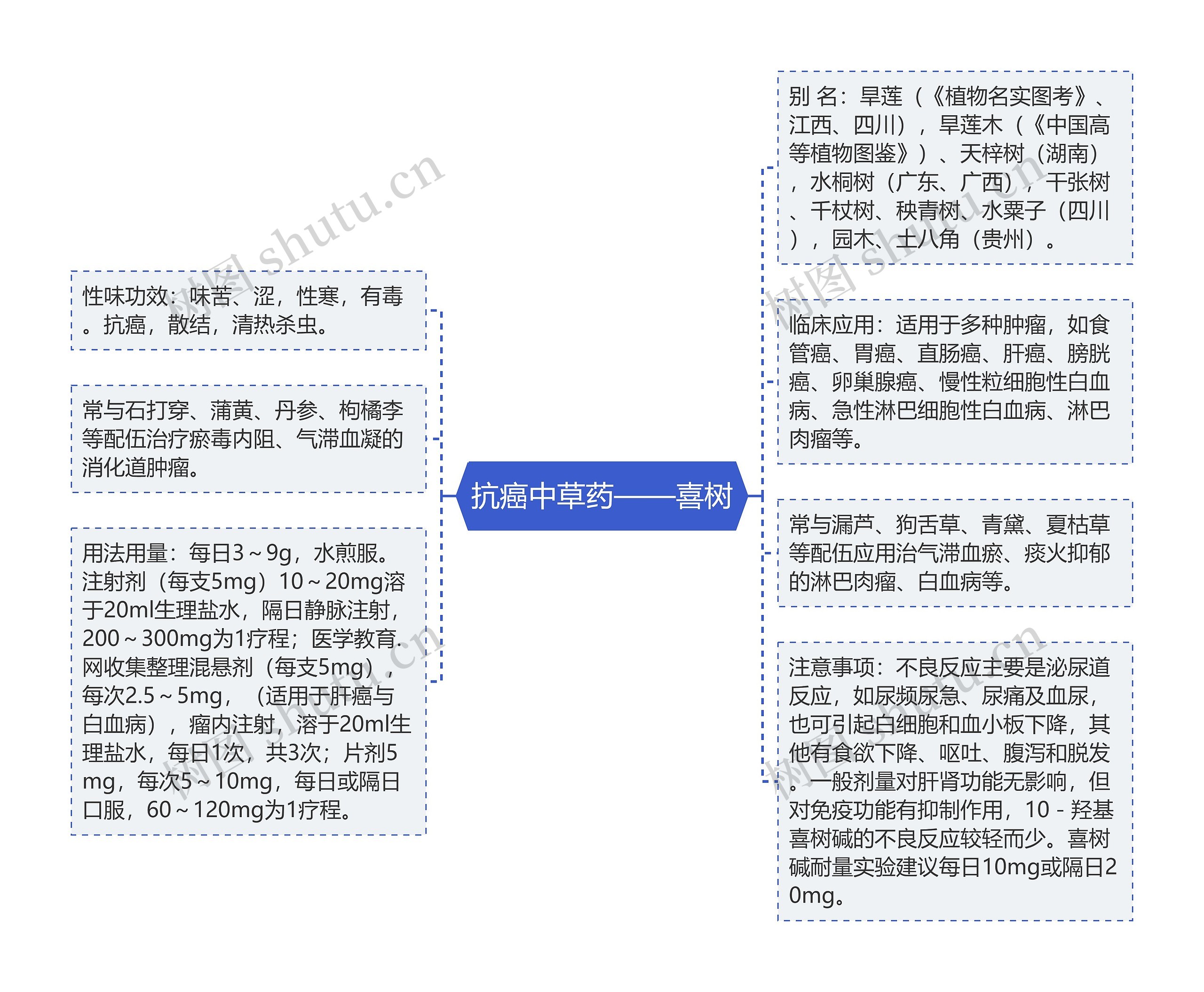 抗癌中草药——喜树