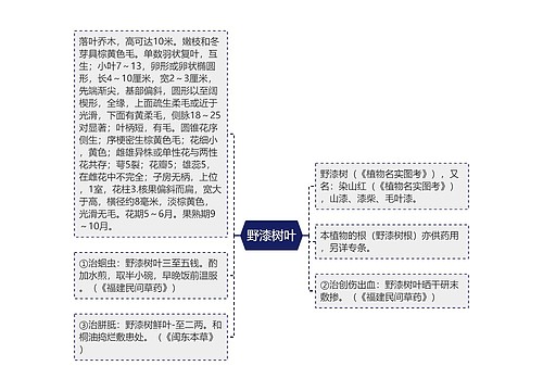 野漆树叶