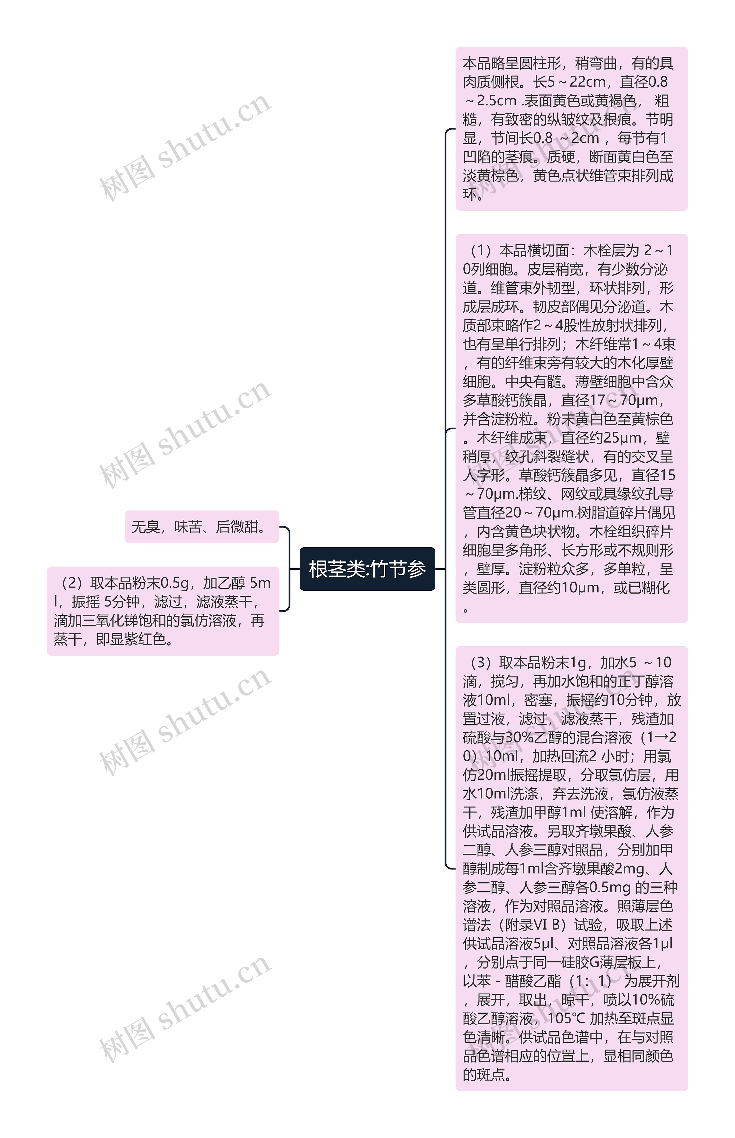 根茎类:竹节参思维导图