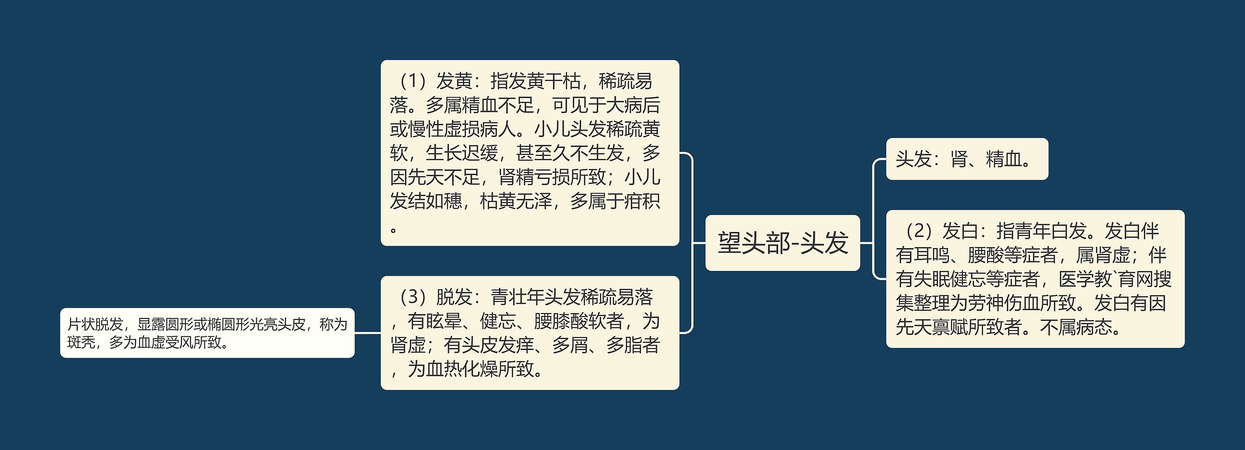 望头部-头发思维导图