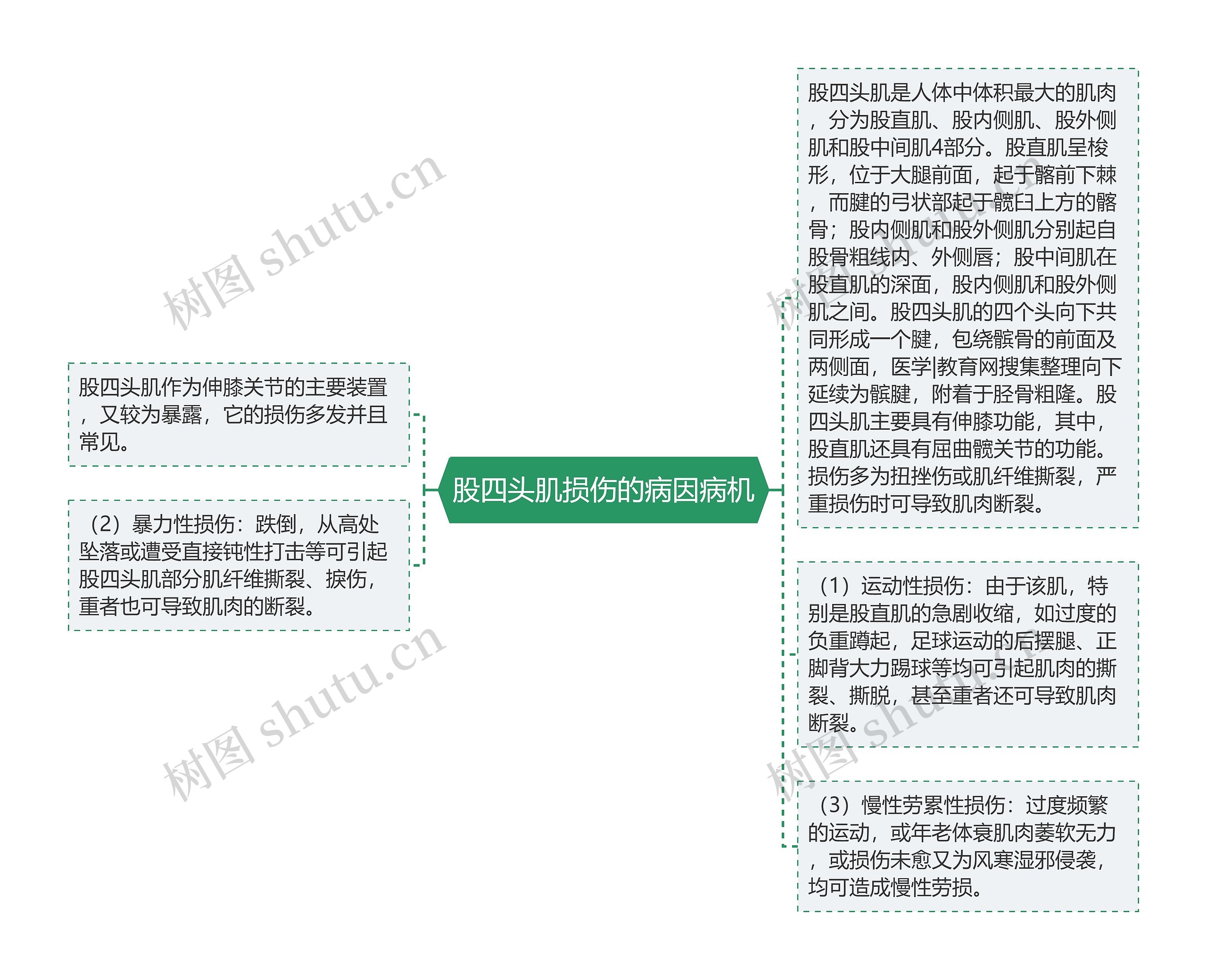 股四头肌损伤的病因病机思维导图