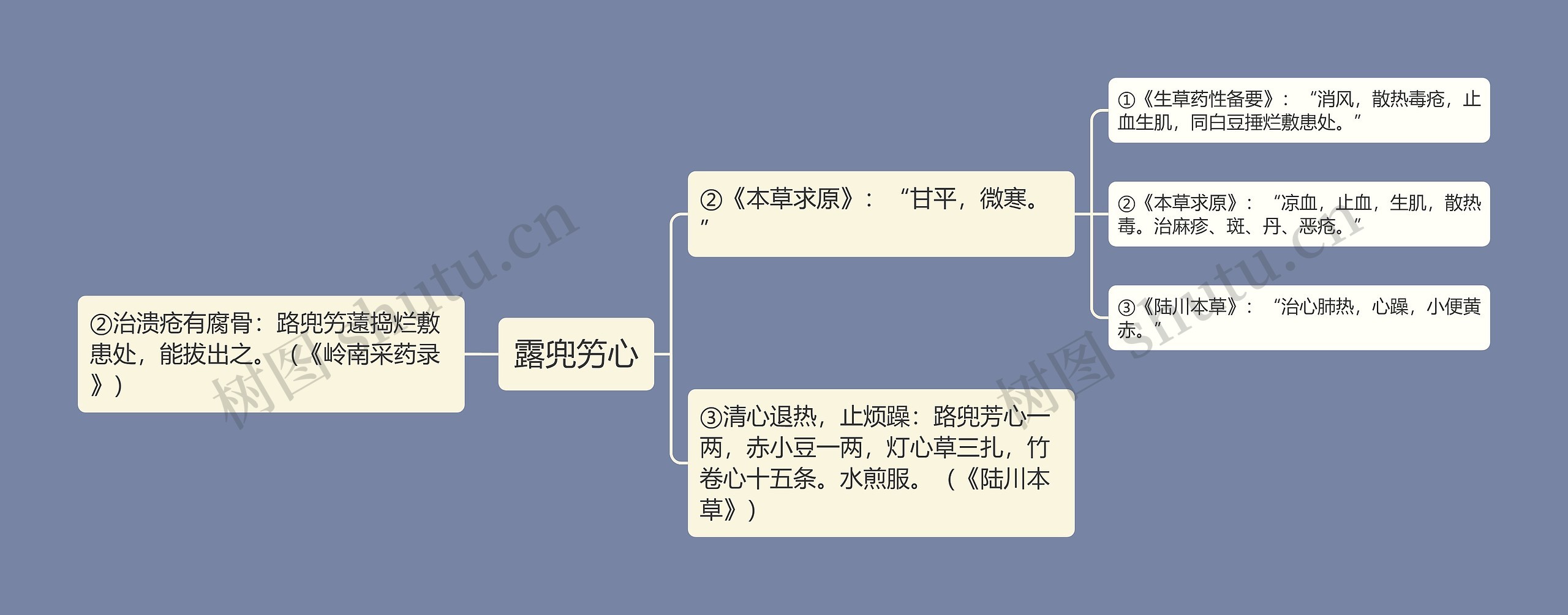 露兜竻心思维导图