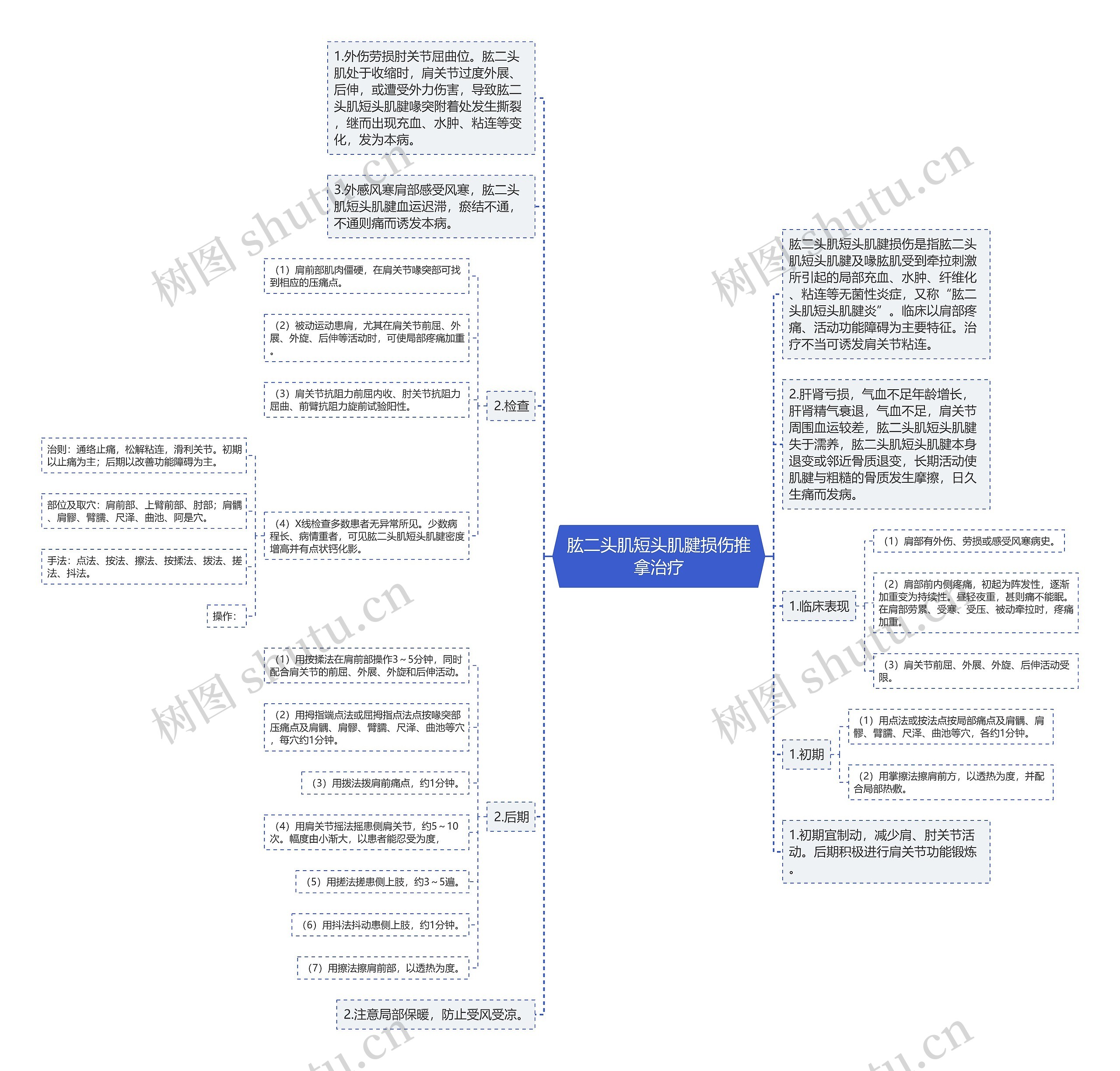 肱二头肌短头肌腱损伤推拿治疗思维导图