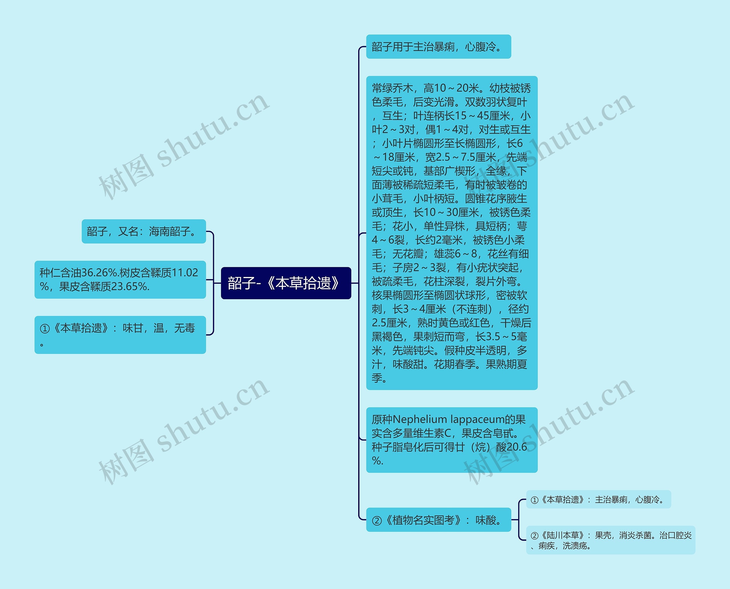 韶子-《本草拾遗》思维导图