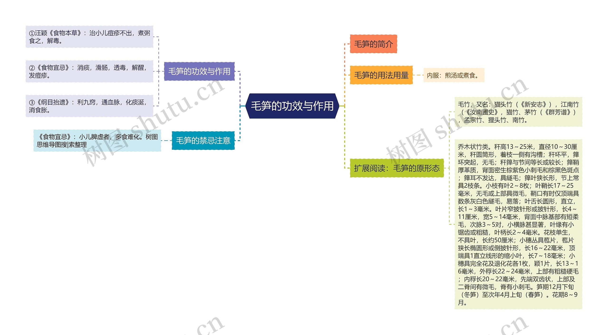 毛笋的功效与作用思维导图